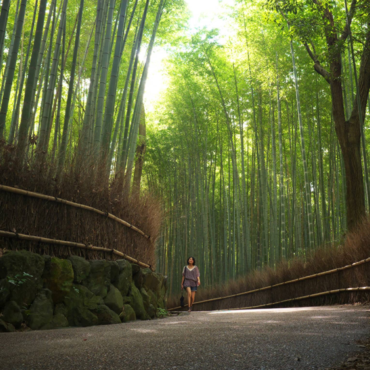 A guest walking along a tranquil, bamboo-lined pathway