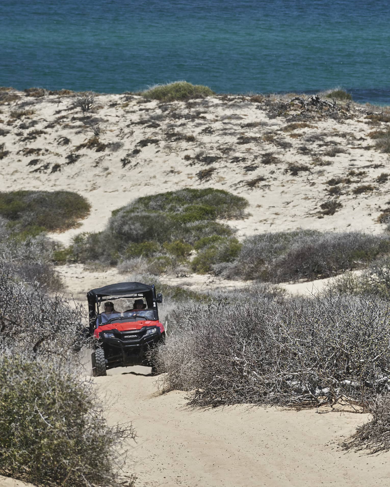 An off-road vehicle navigates a sandy trail surrounded by brush and dunes, with the ocean in the background, capturing the thrill of an off-road adventure.