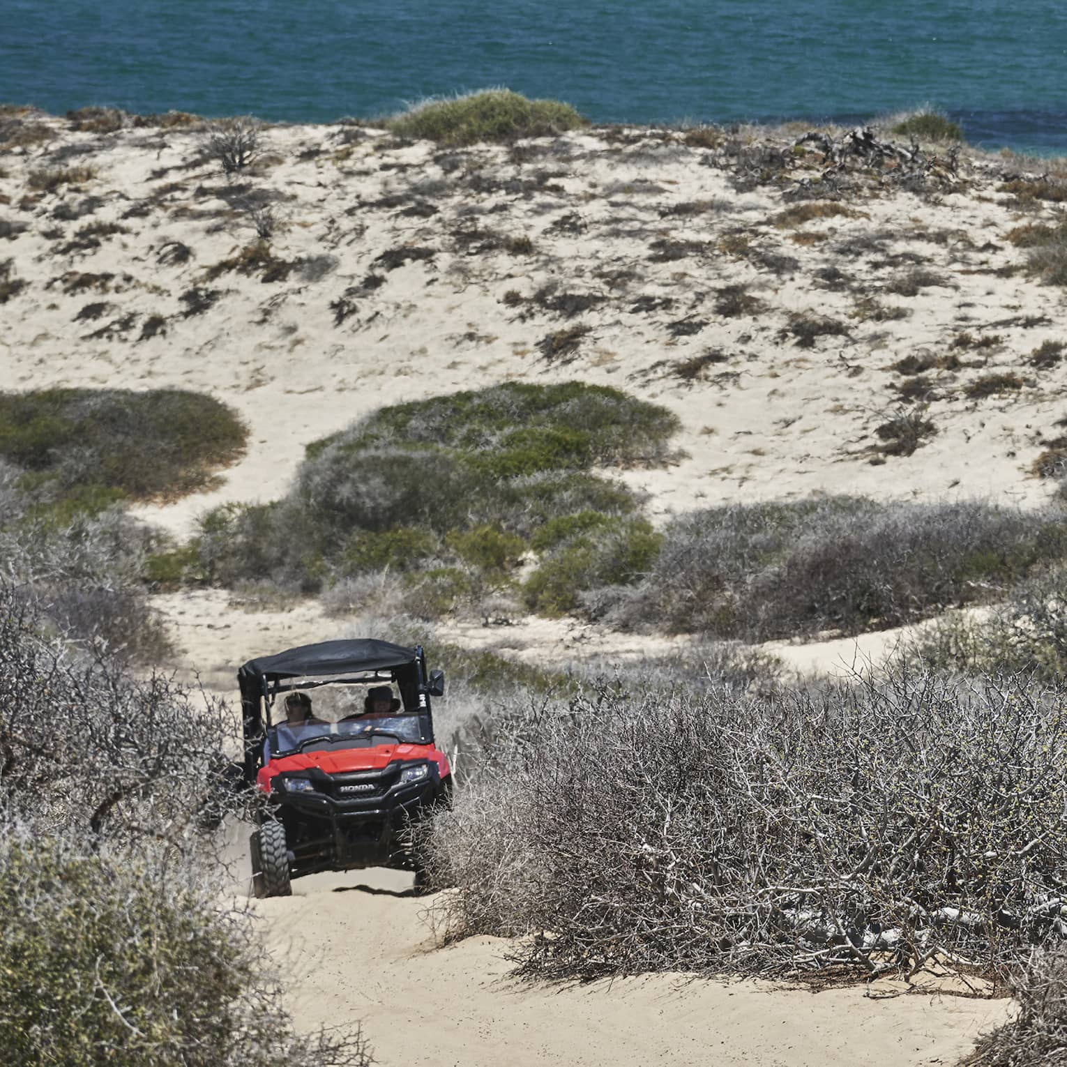 An off-road vehicle navigates a sandy trail surrounded by brush and dunes, with the ocean in the background, capturing the thrill of an off-road adventure.