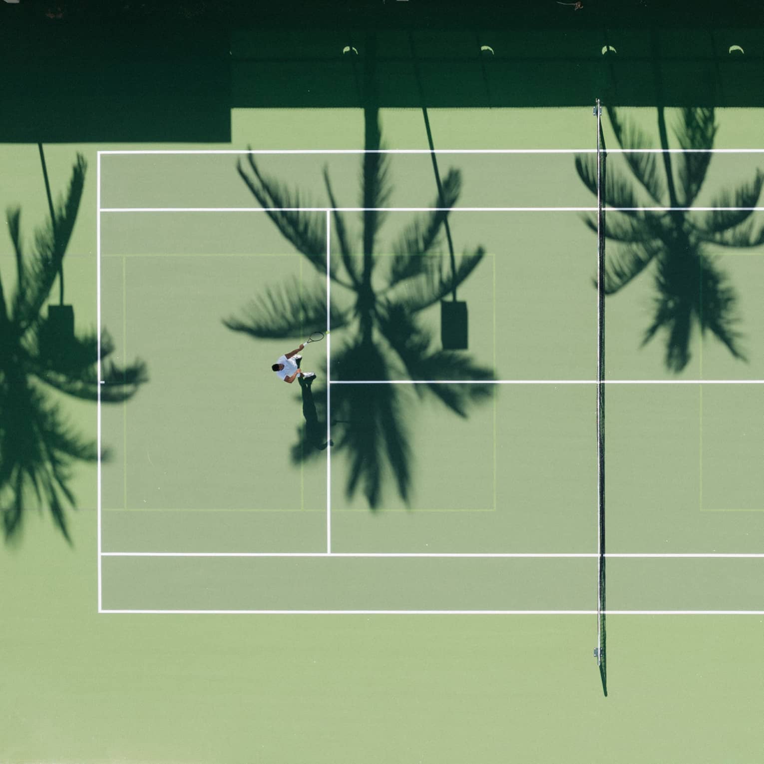 Aerial view of a green tennis court shaded by palm trees