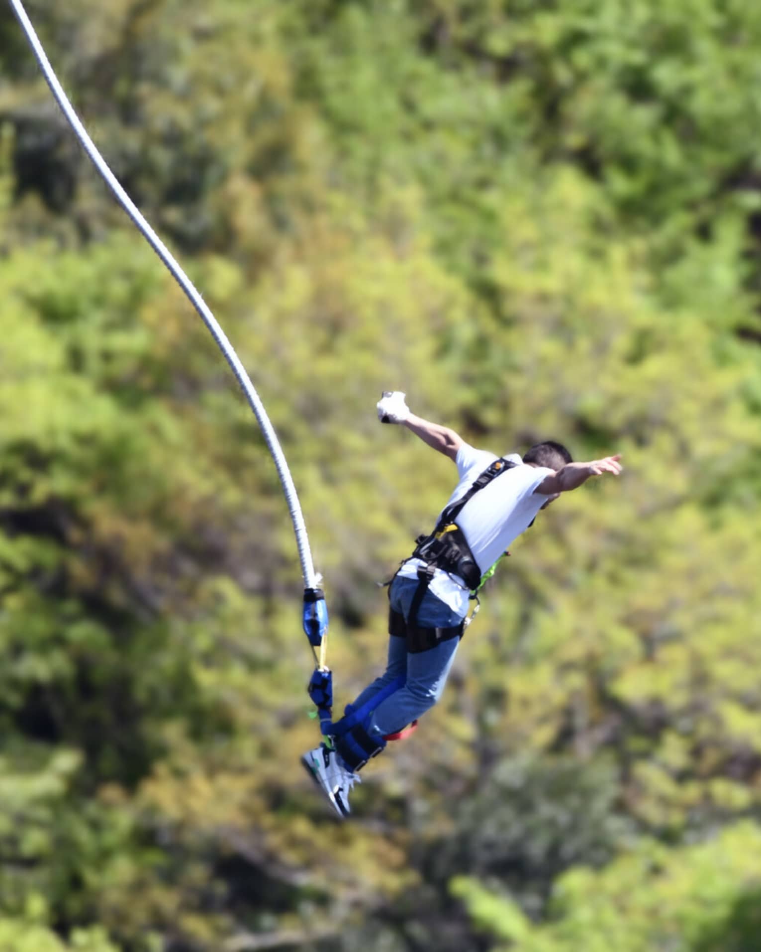Man wearing white short-sleeve t-shirt and blue pants bungee jumps through the air with green trees in the background