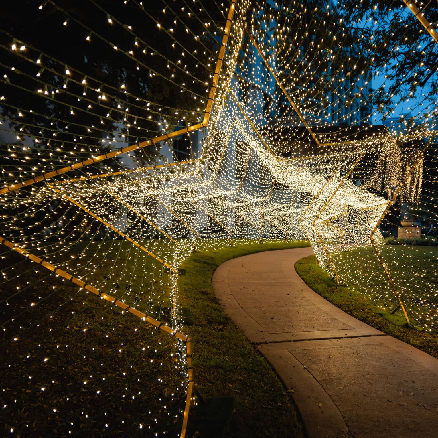 Star-shaped tunnel of lights surrounding an outdoor path.