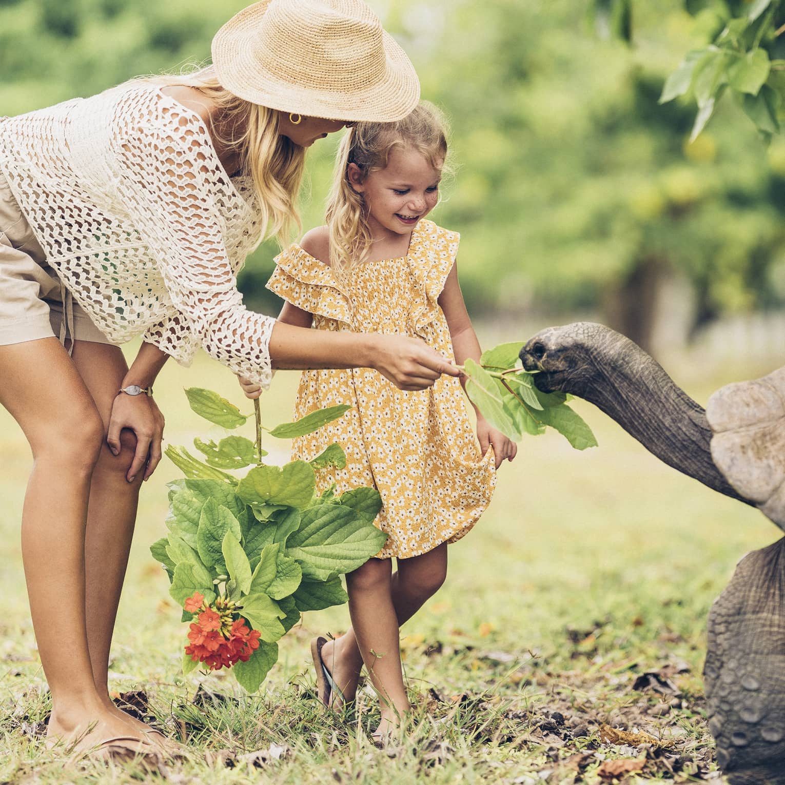 A parent feeds leaves to a giant tortoise as tall as the midsection of the smiling child holding another leafy branch. 