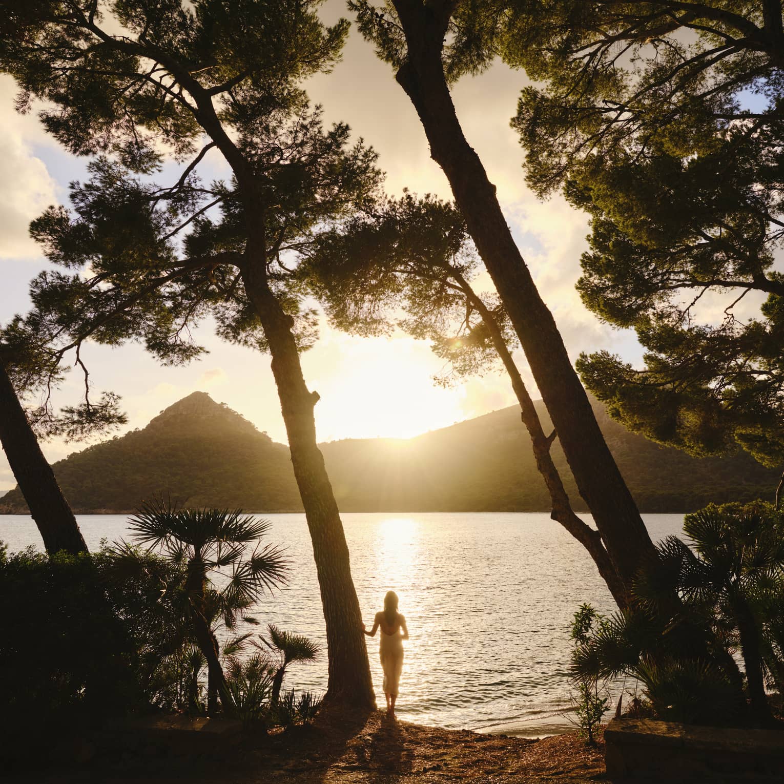 Silhouetted by the sun dipping behind a mountain, a guest stands at the edge of rippling water framed by tall leaning trees.