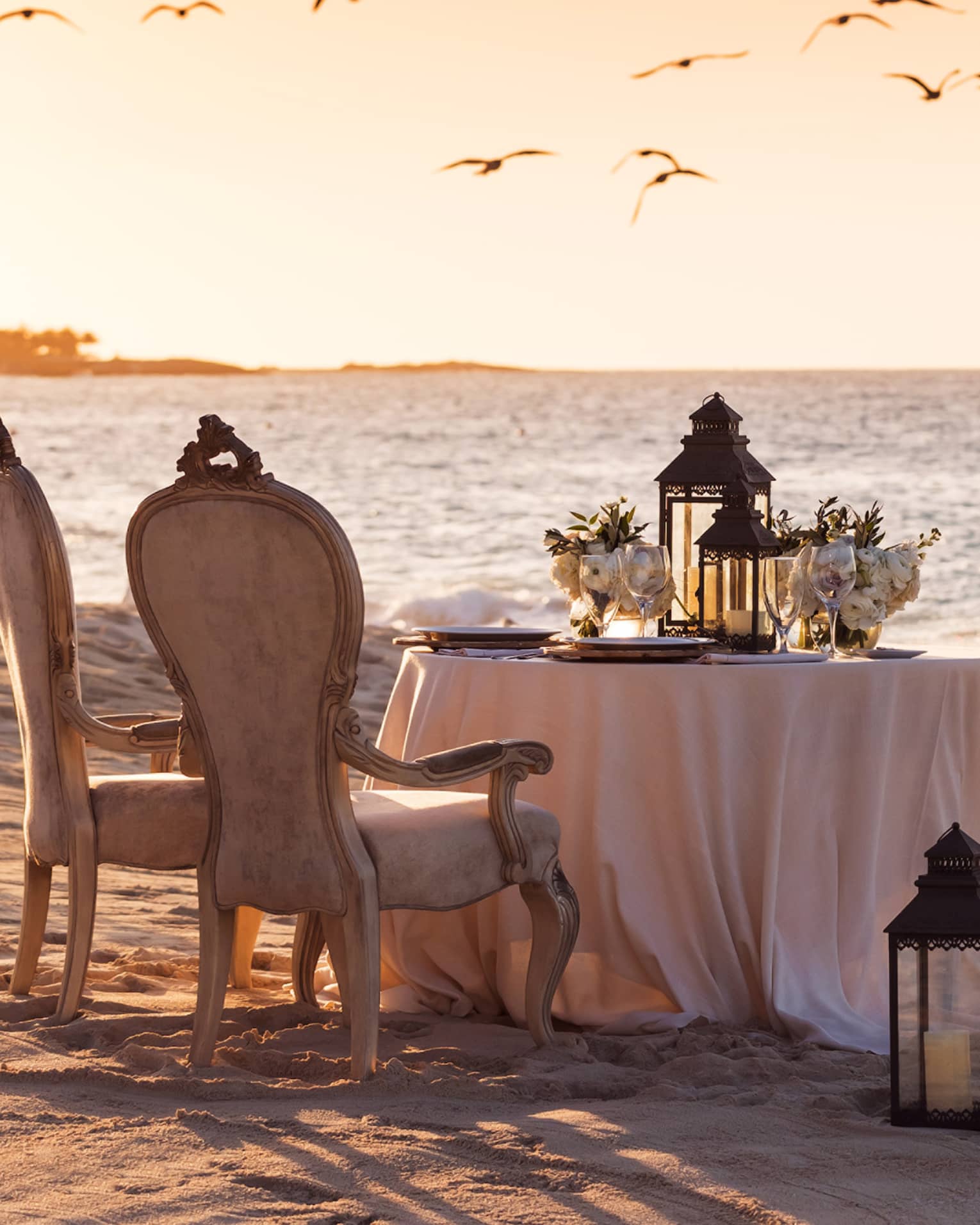 Silhouettes of birds flying over beach, private dining table for two on beach at sunset