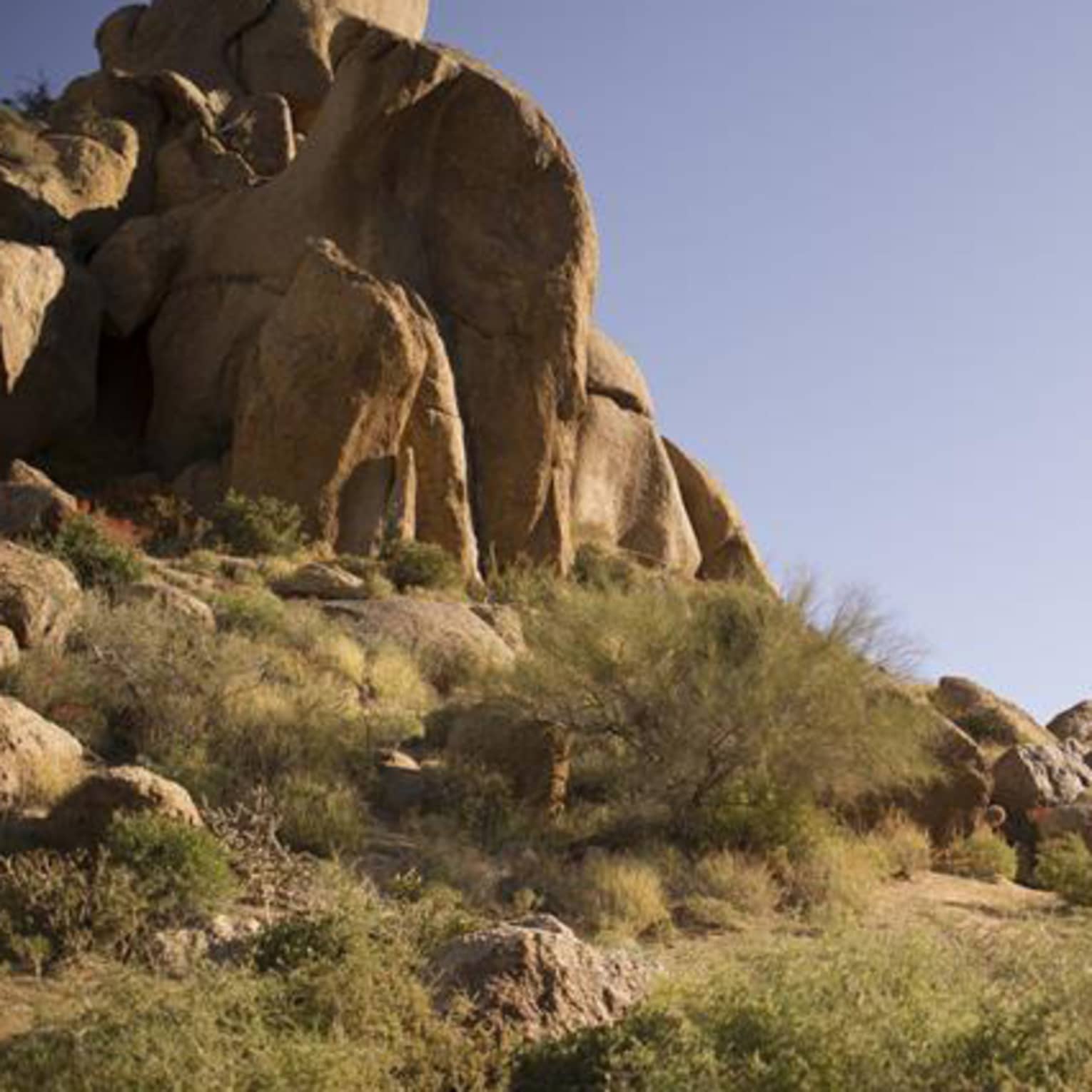 Hikers explore rugged mountain terrain, surrounded by desert flora and massive red sandstone and grey limestone rocks.
