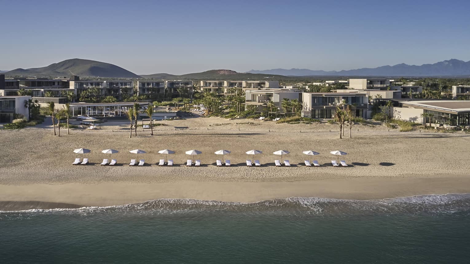 An aerial view of lounge chairs and umbrellas lining the beach with the four seasons resort los cabos behind them