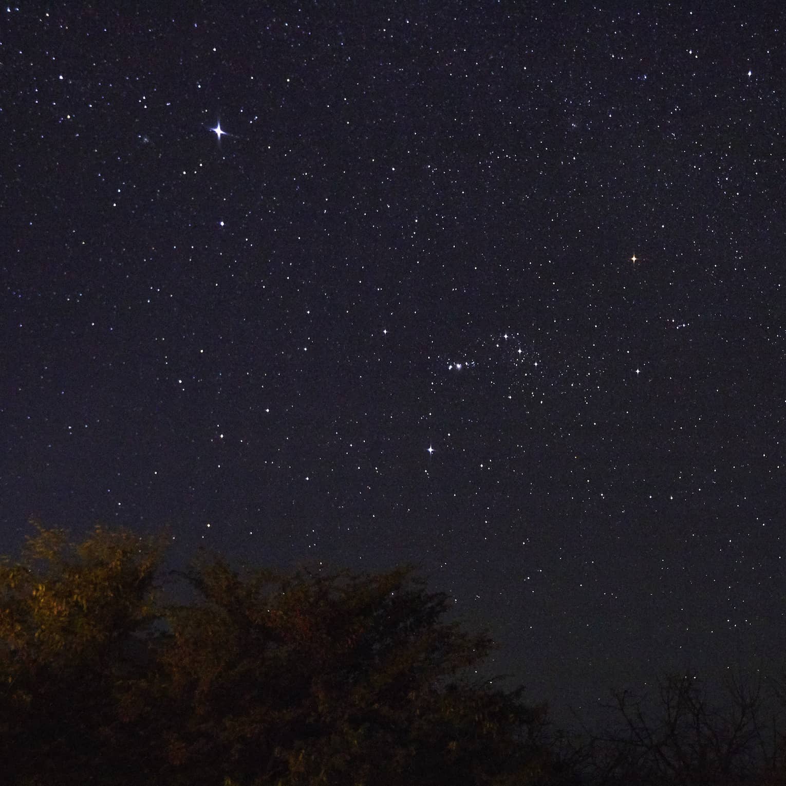 Starry night sky