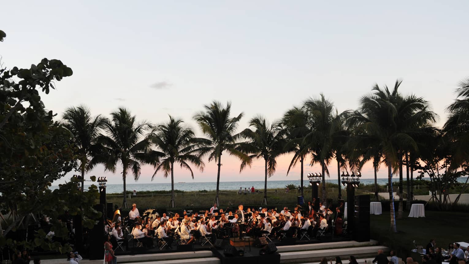 An orchestra playing surrounded by palm trees.
