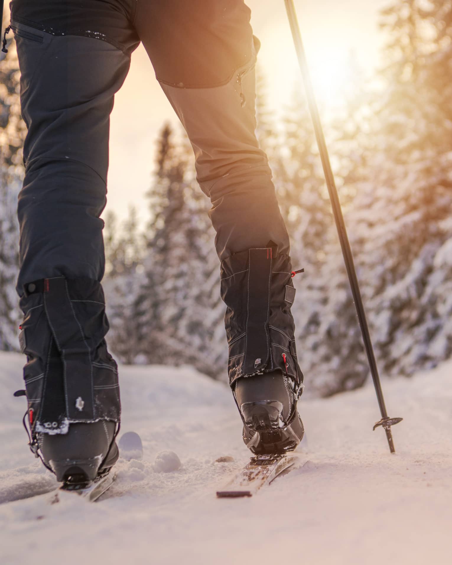 A person's legs glide along a snowy pathway while cross-country skiing in the forest