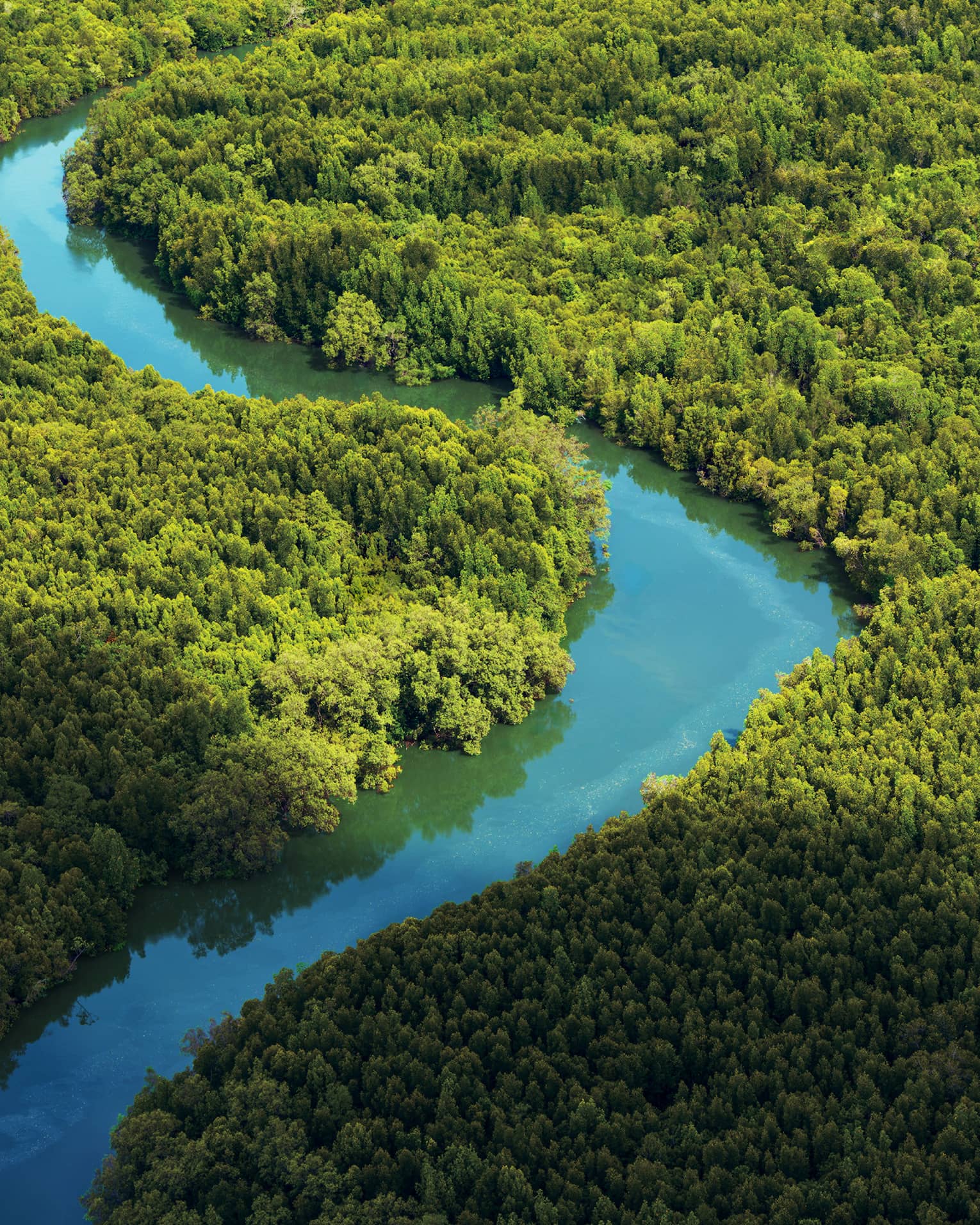 Aerial view of blue river winding through green forest