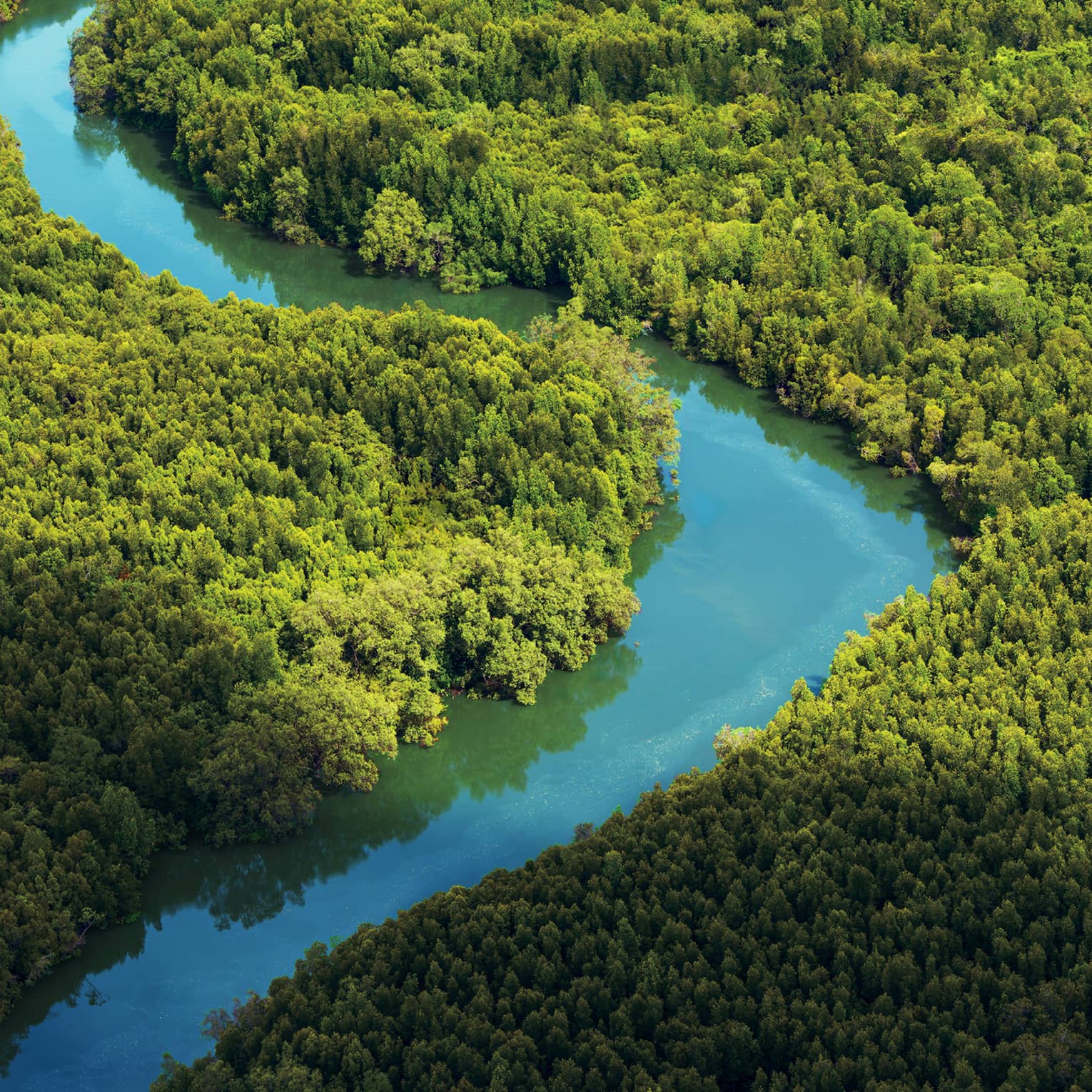 Aerial view of blue river winding through green forest