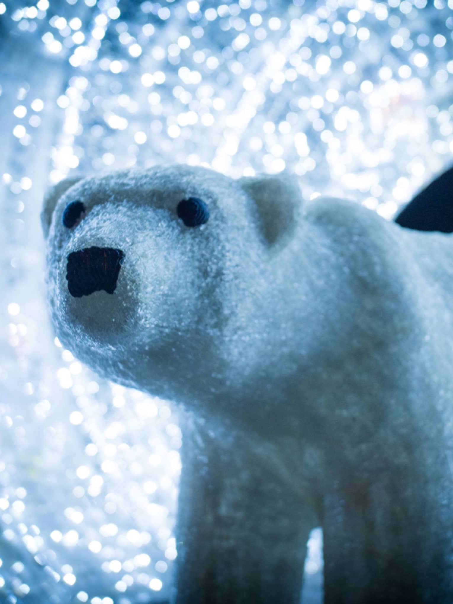 A model polar bear in a tunnel of lights.