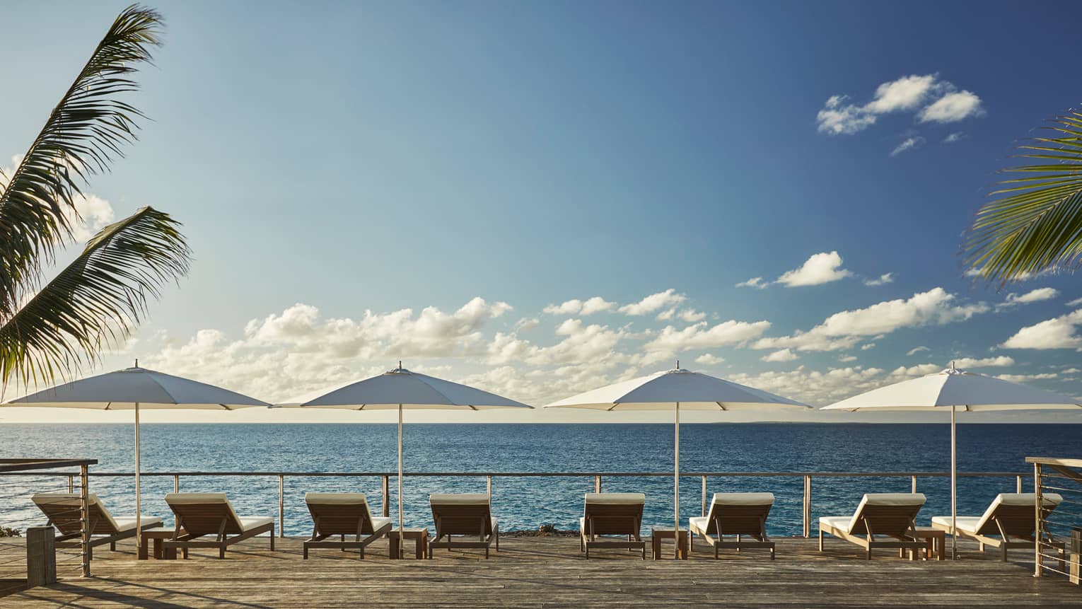 Back view of row of patio chairs, white umbrellas looking down at open ocean