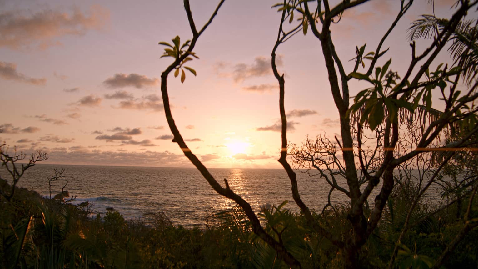 Sunset over the ocean