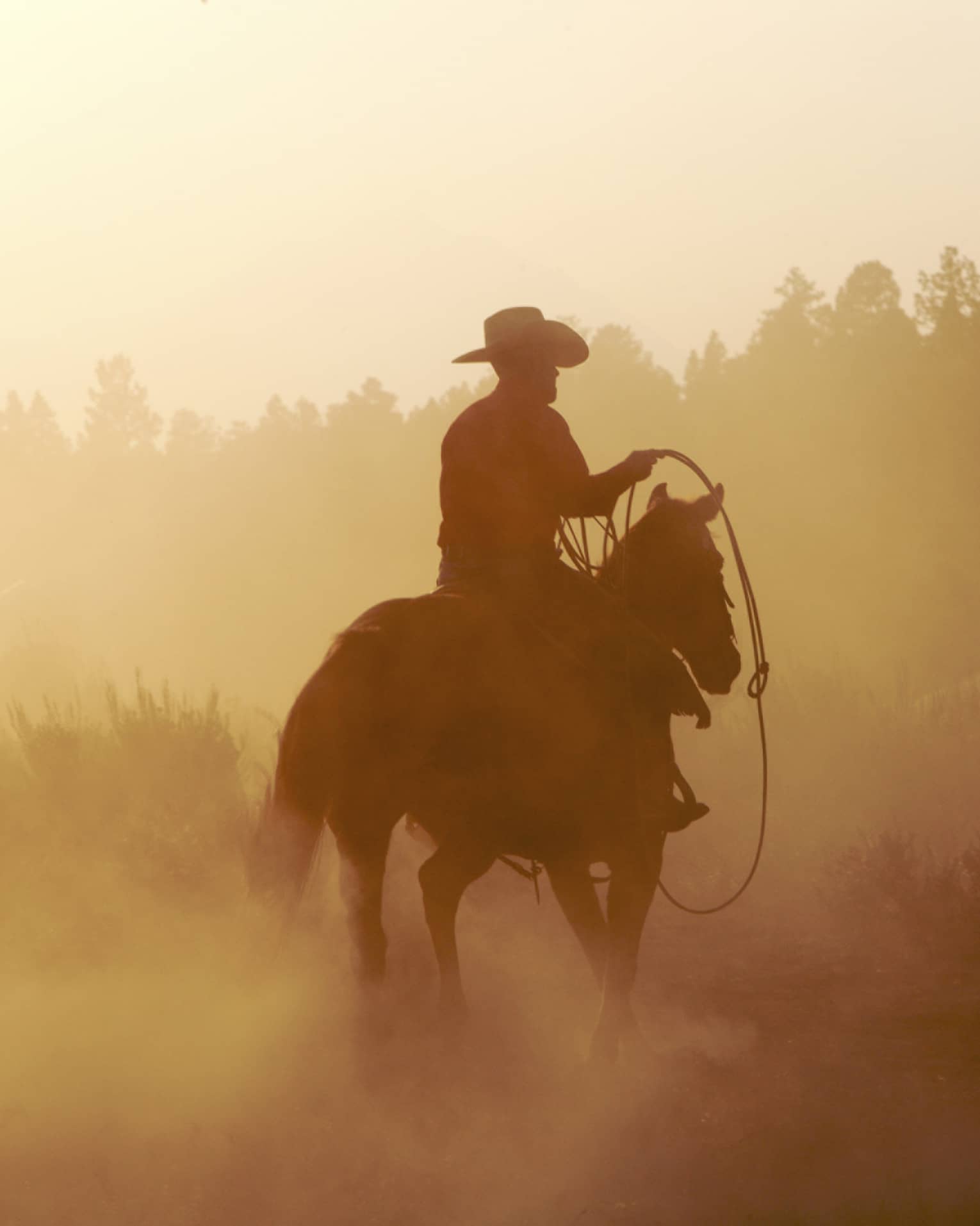 Silhouette of cowboy with rope on horse in misty mountain forest