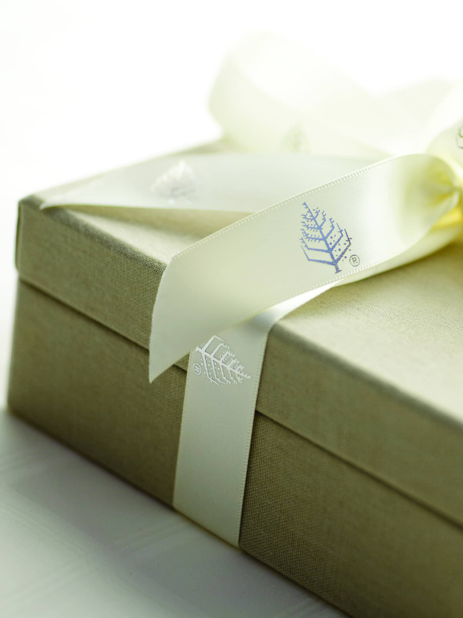 A tan gift box wrapped with ivory four seasons ribbon