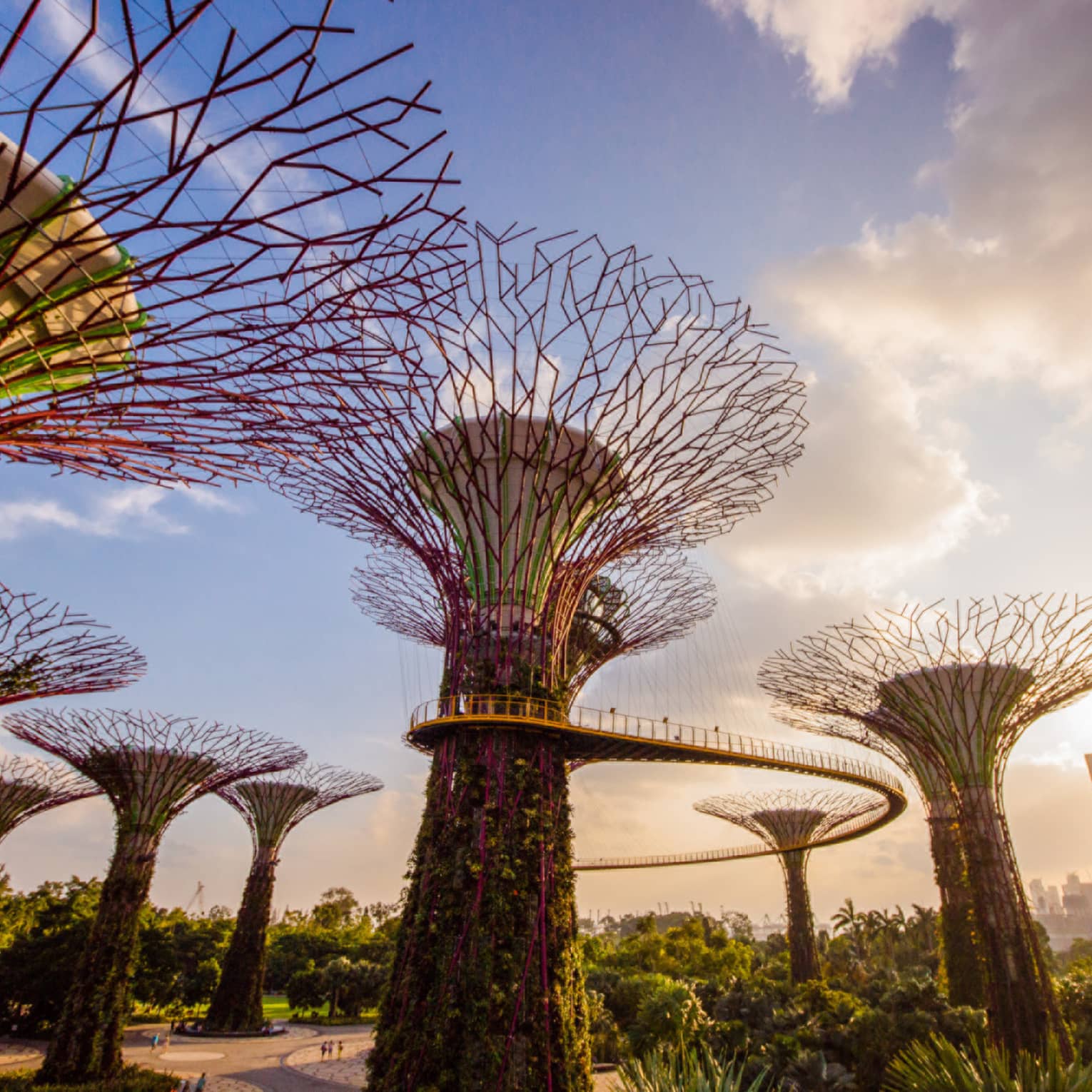 A view of modern art in Gardens by the Bay in singapore