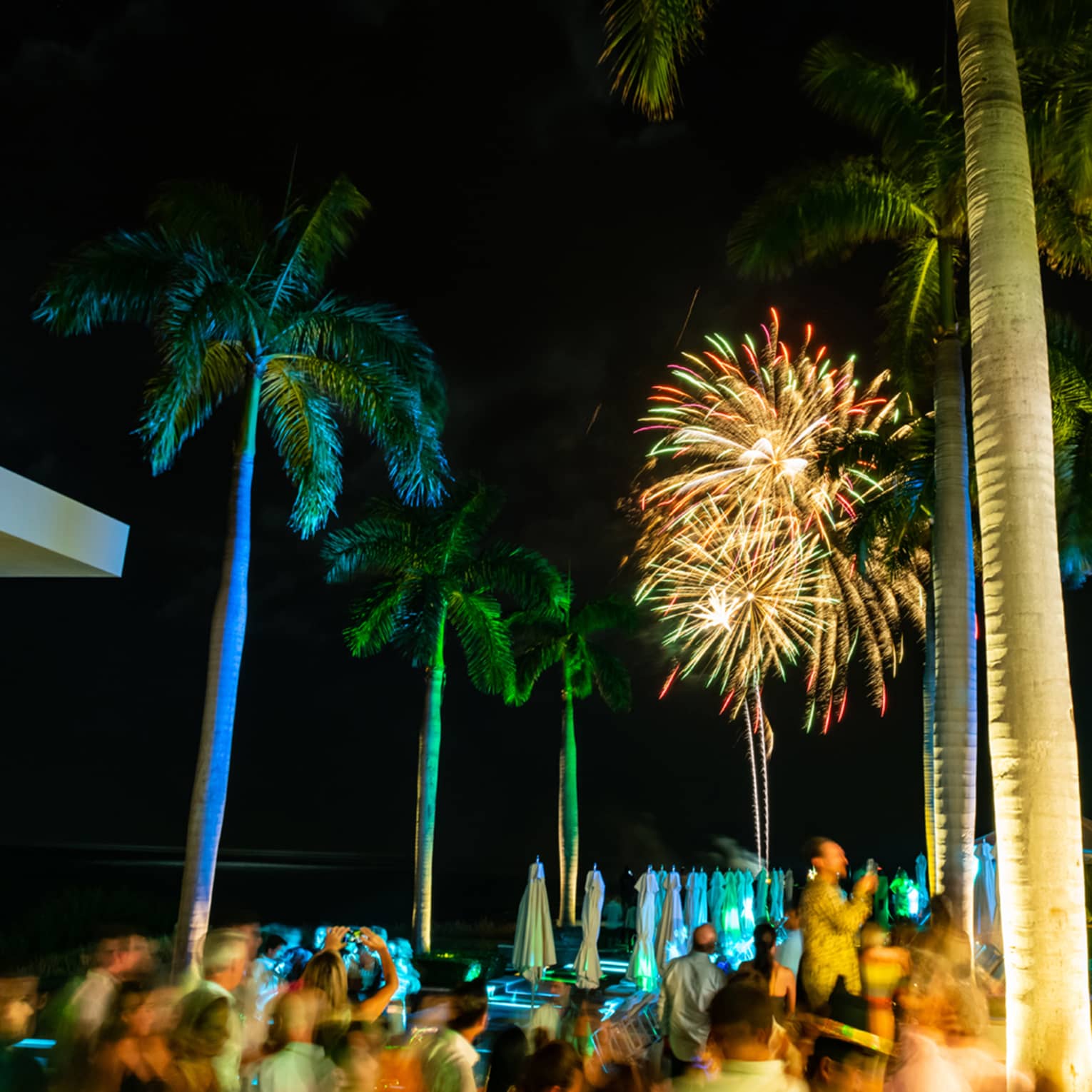 A group of guests watching fireworks in the sky.