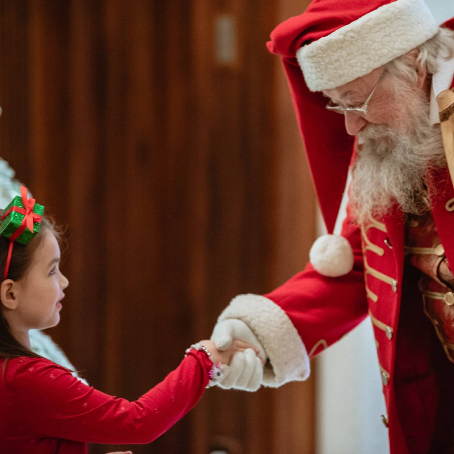 A man dressed as Santa Claus shakes little girl's hand