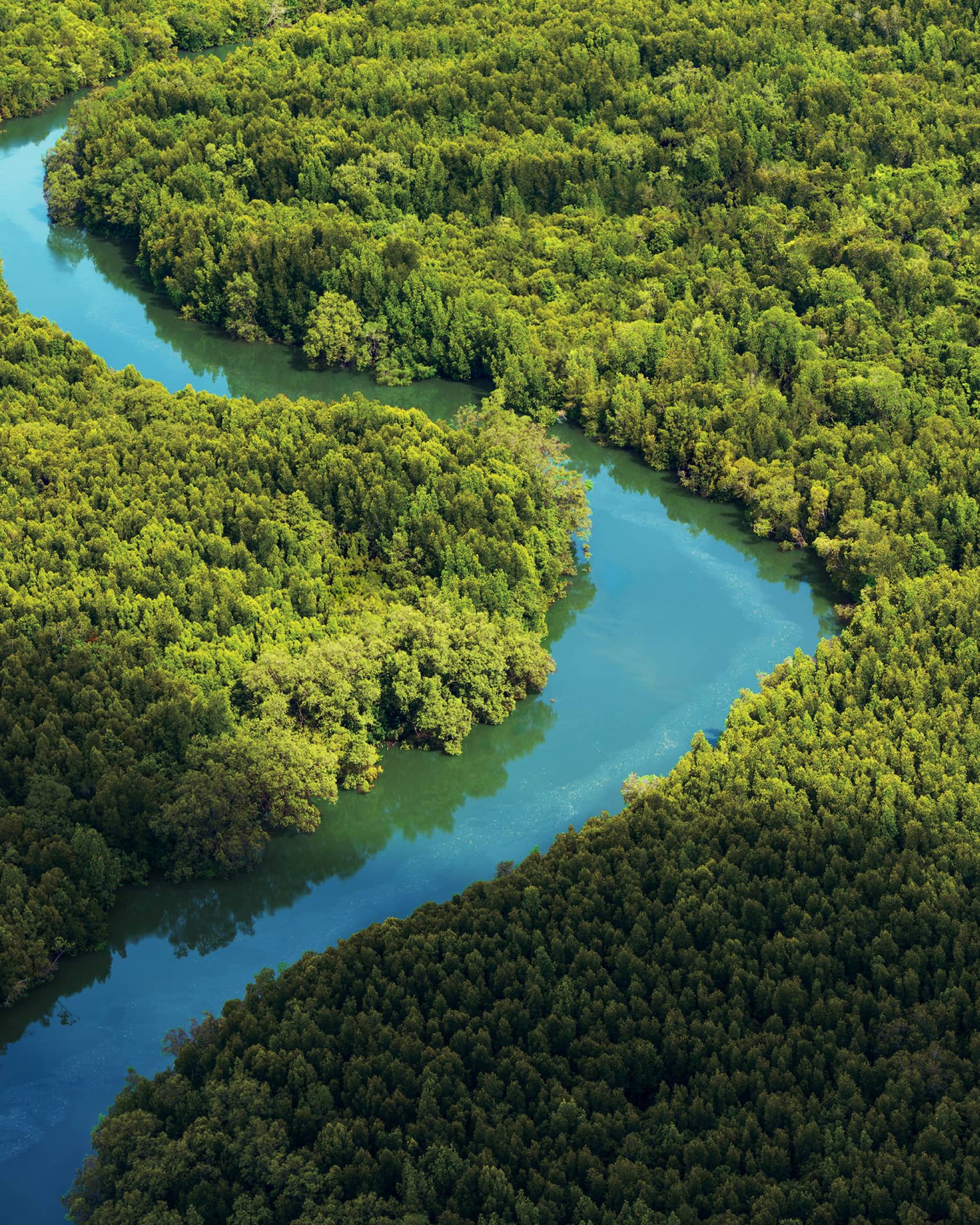 Aerial view of blue river winding through green forest