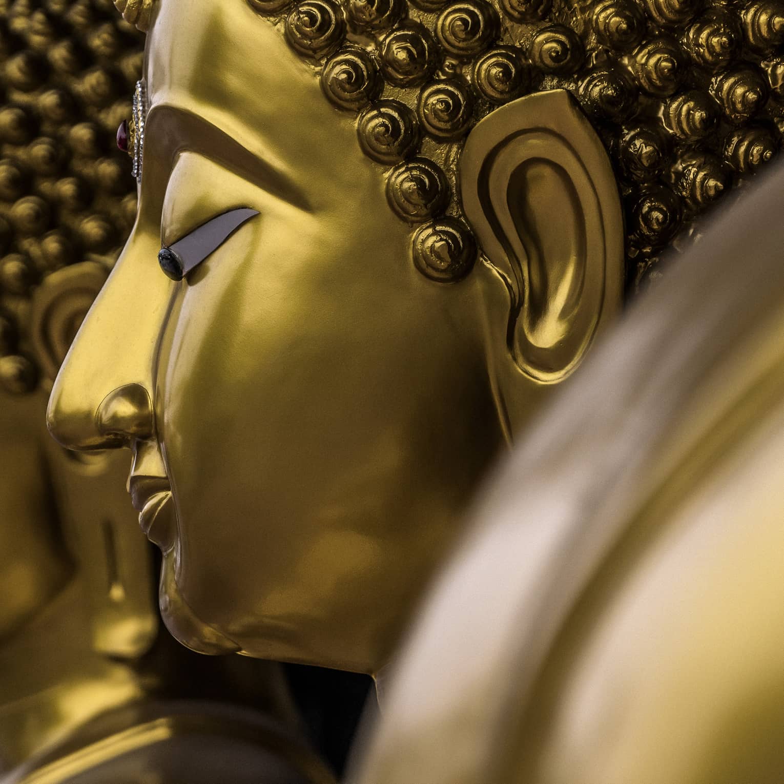 Two gold statues, side of women's face showing nose, ears, closed eyes and hair
