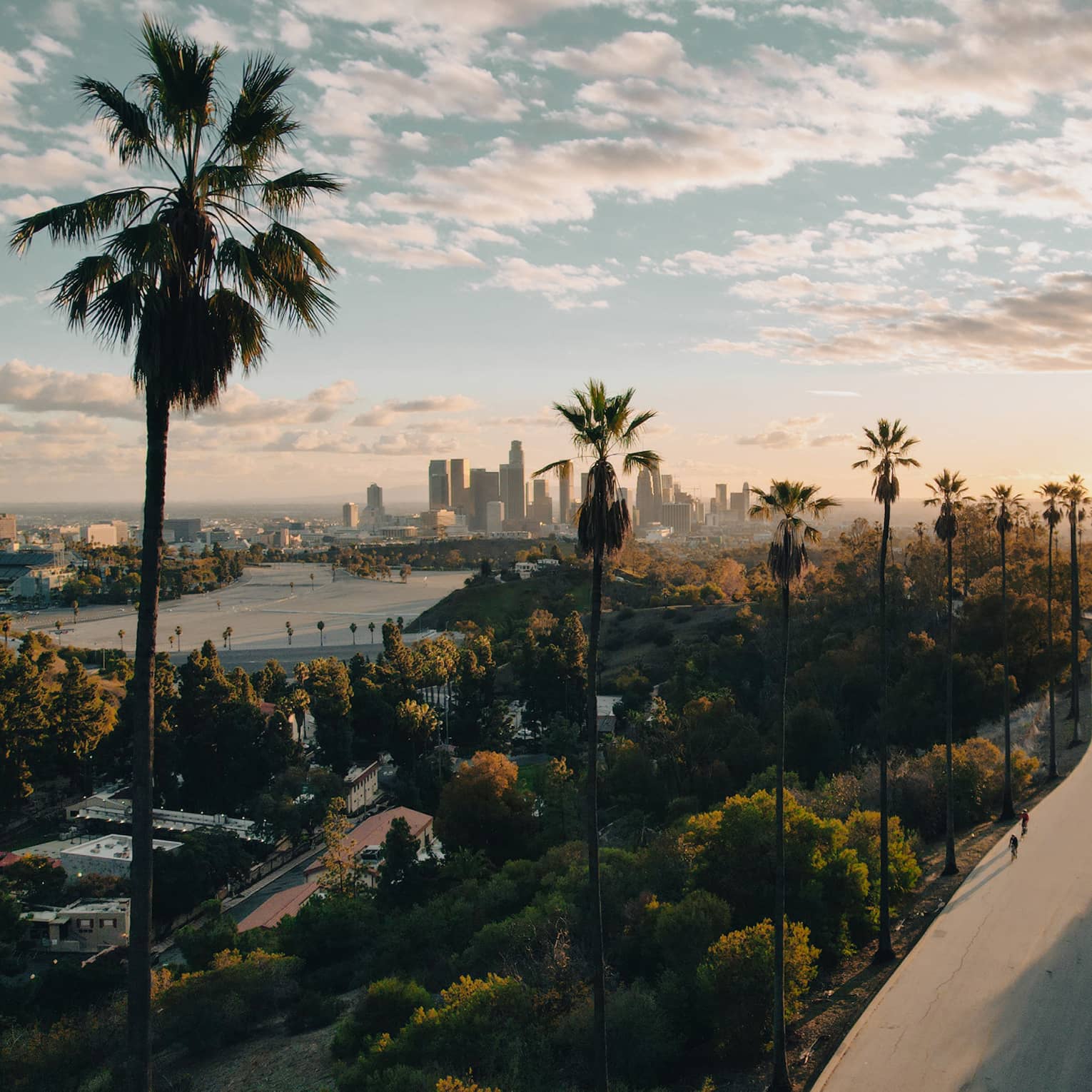 Aerial view of a road surrounded by palm trees and the city skyline