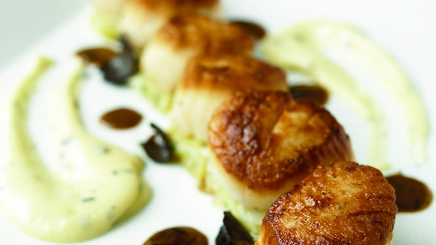 Scallops on a white sauce on a white plate.