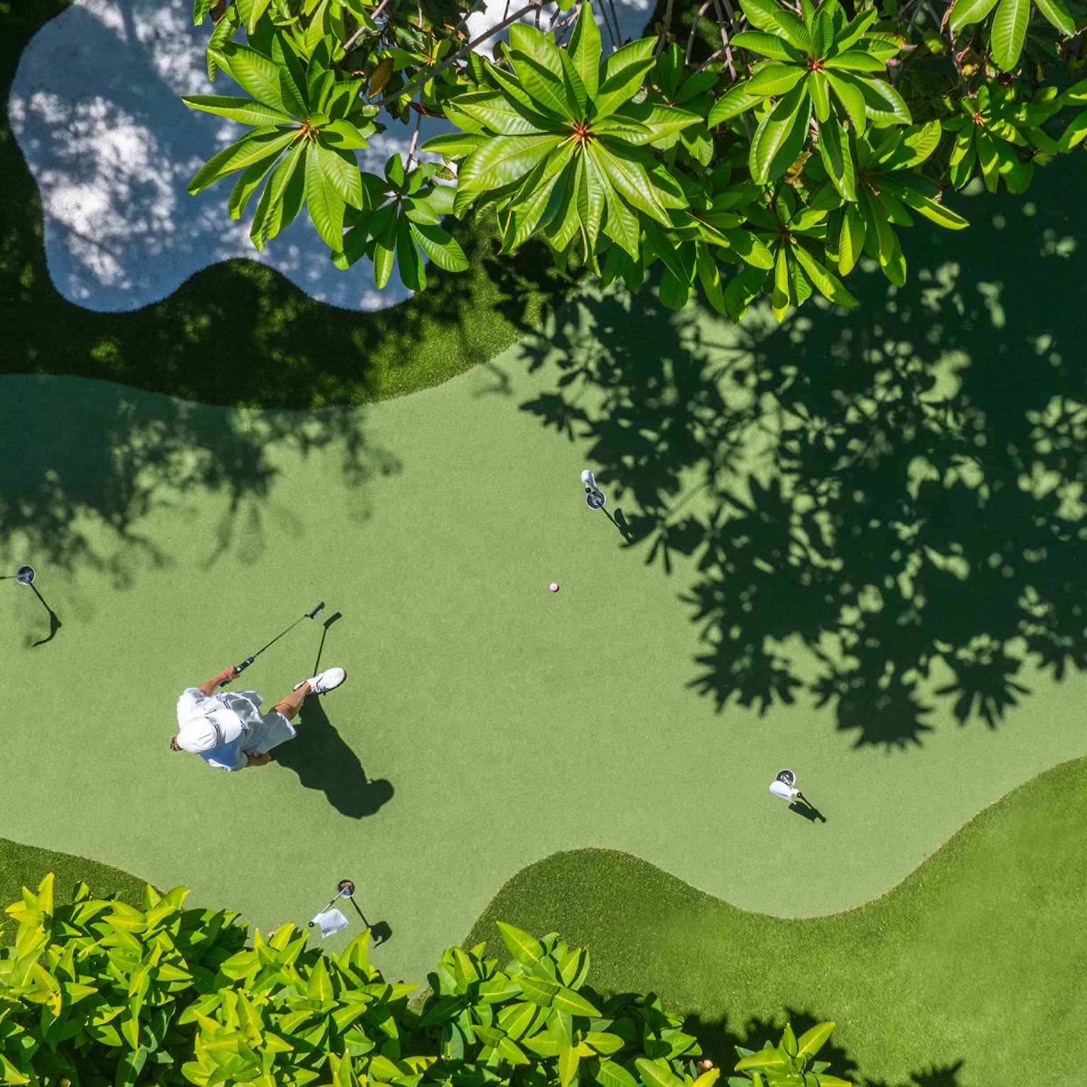 Bird's-eye view of a verdant putting green surrounded by manicured grass and palm trees