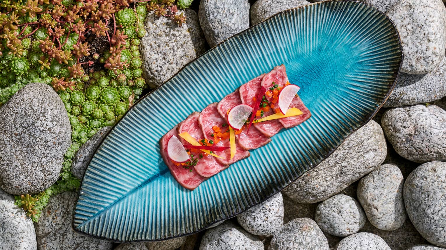 Wagyu Tataki lined up on a blue plate shaped like a leaf and resting on a bed of stones