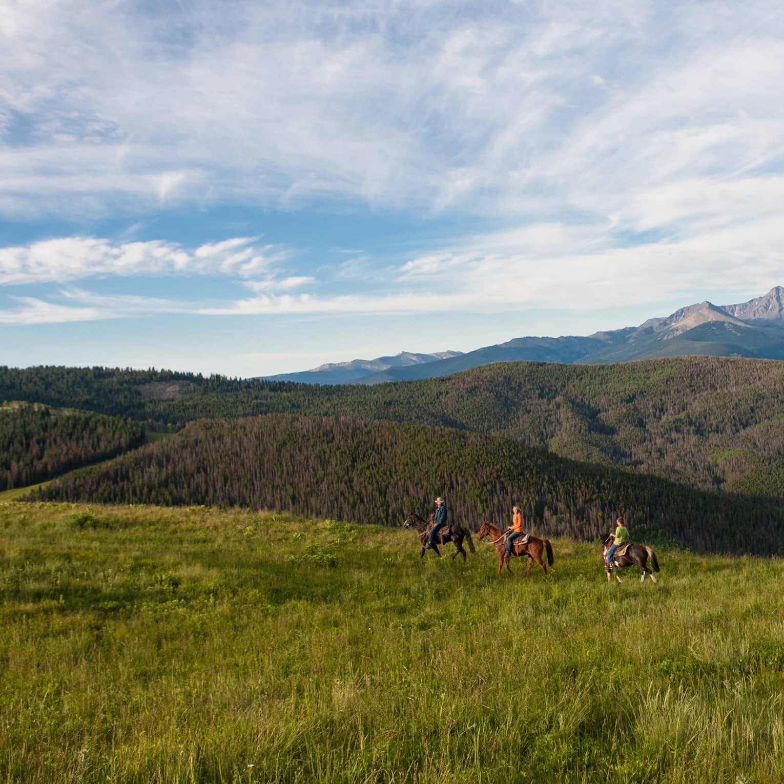A group of people on horseback riding along grass and hills.