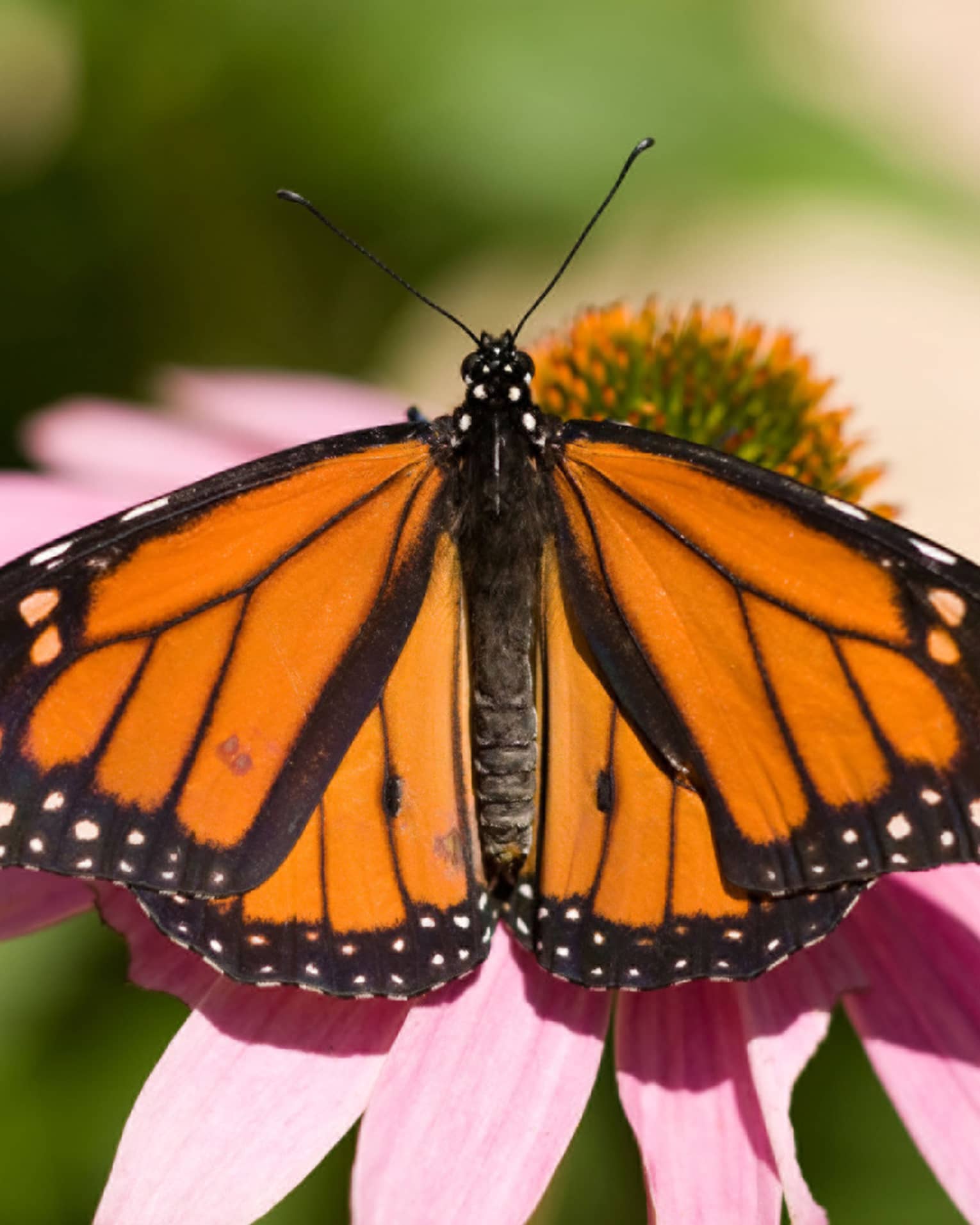 Four Seasons Hotels and Resorts | Luxury Hotels | Four Seasons Four Seasons Hotels and Resorts | Luxury Hotels | Four Seasons