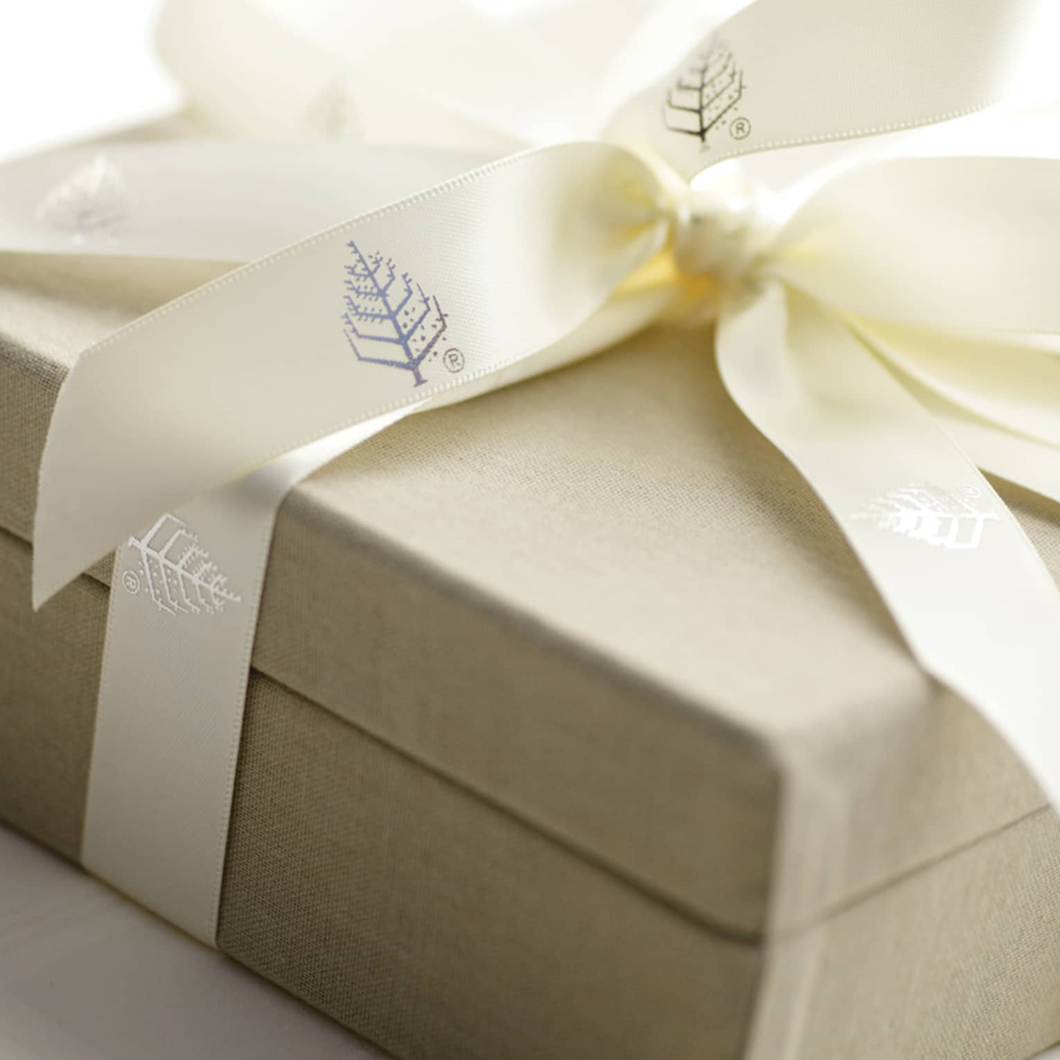 Light brown, square gift card box tied with a cream-colored ribbon featuring the Four Seasons tree logo