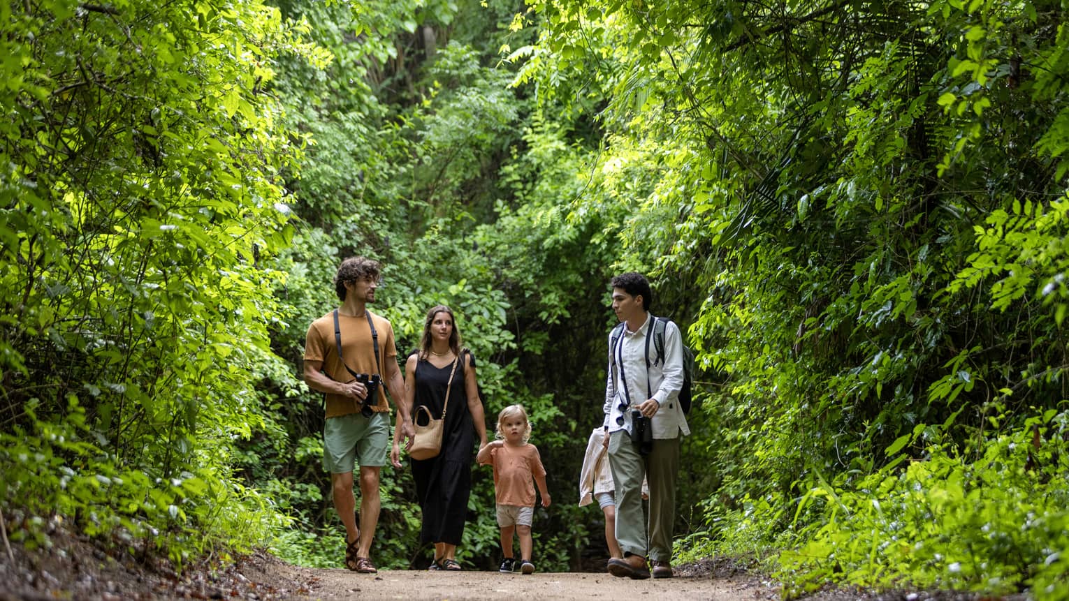 A group of people walking on a earthen trail surrounded by a lush forest