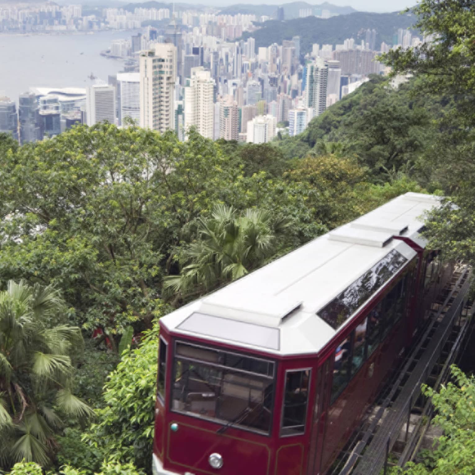 The red Peak Tram ascends a lush, green hillside with a sprawling cityscape in the background. Tall skyscrapers rise into the skyline under a cloudy sky.