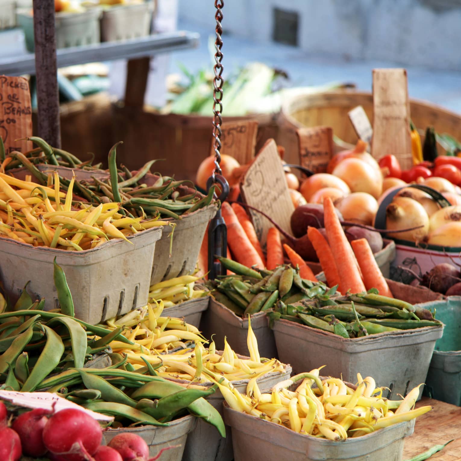 Fall vegetable bounty display at farmers market