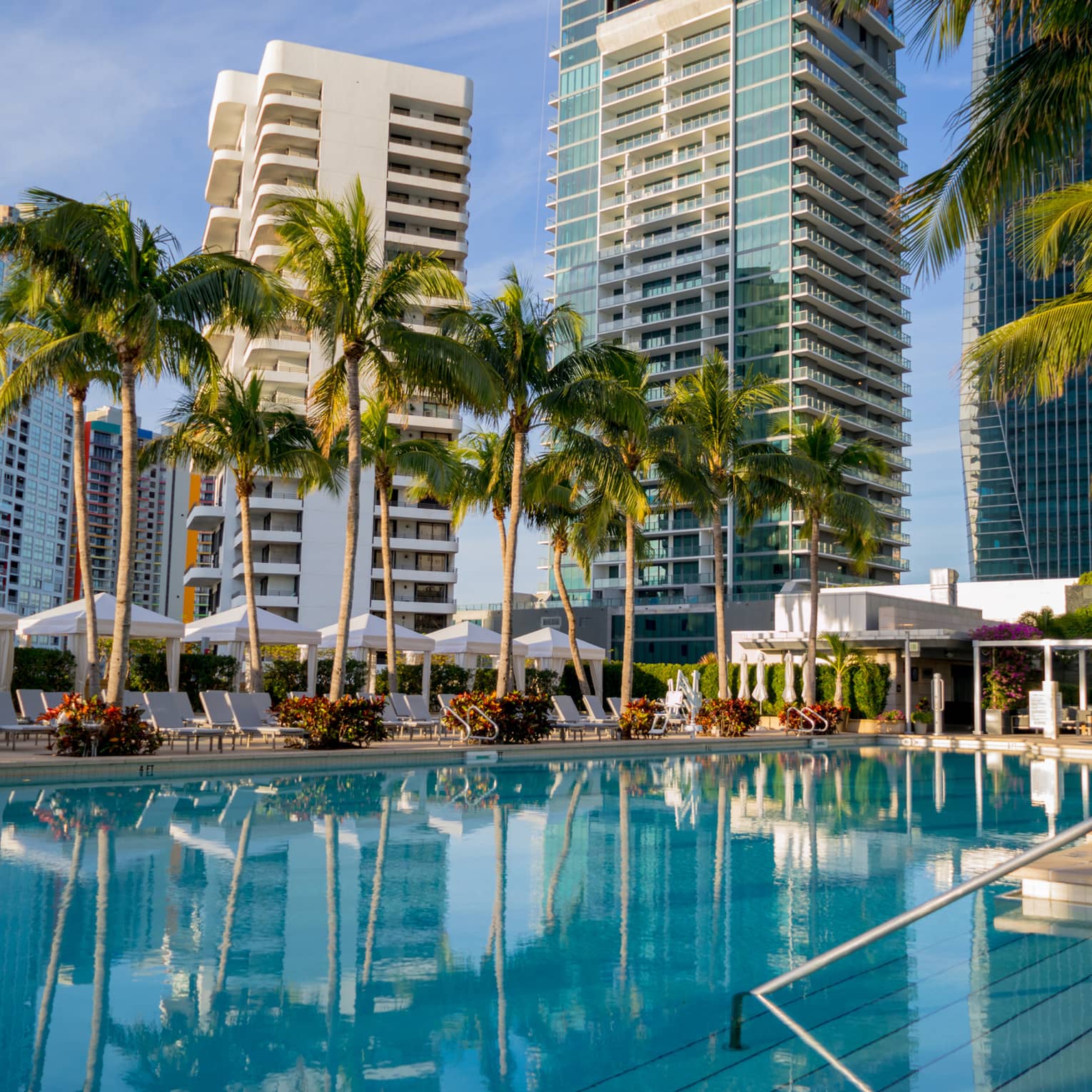 An outdoor pool with palm trees, umbrellas and tall buildings around it.