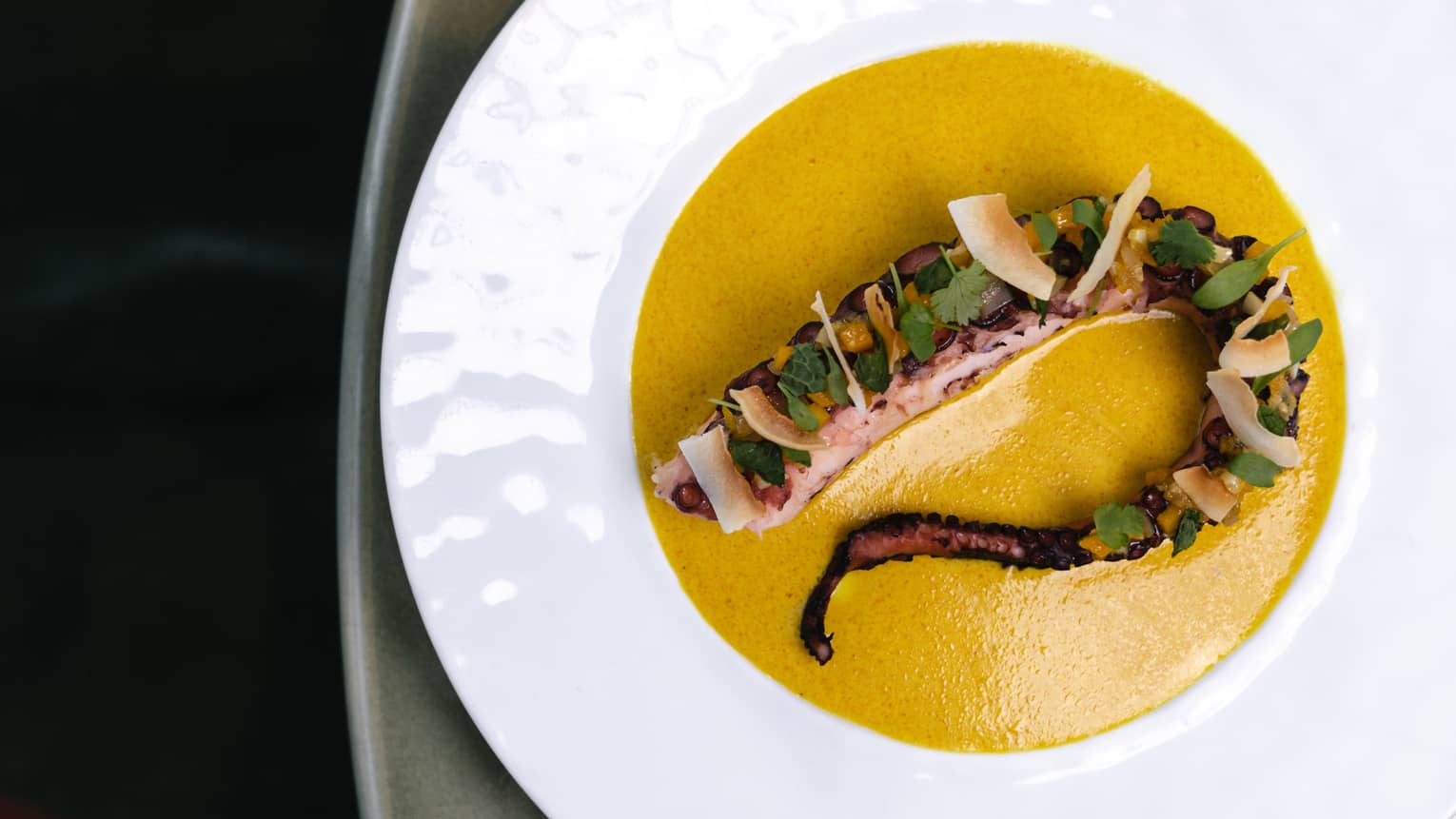 Grilled octopus tentacle served on a bed of orange fall squash soffritto on a white round plate