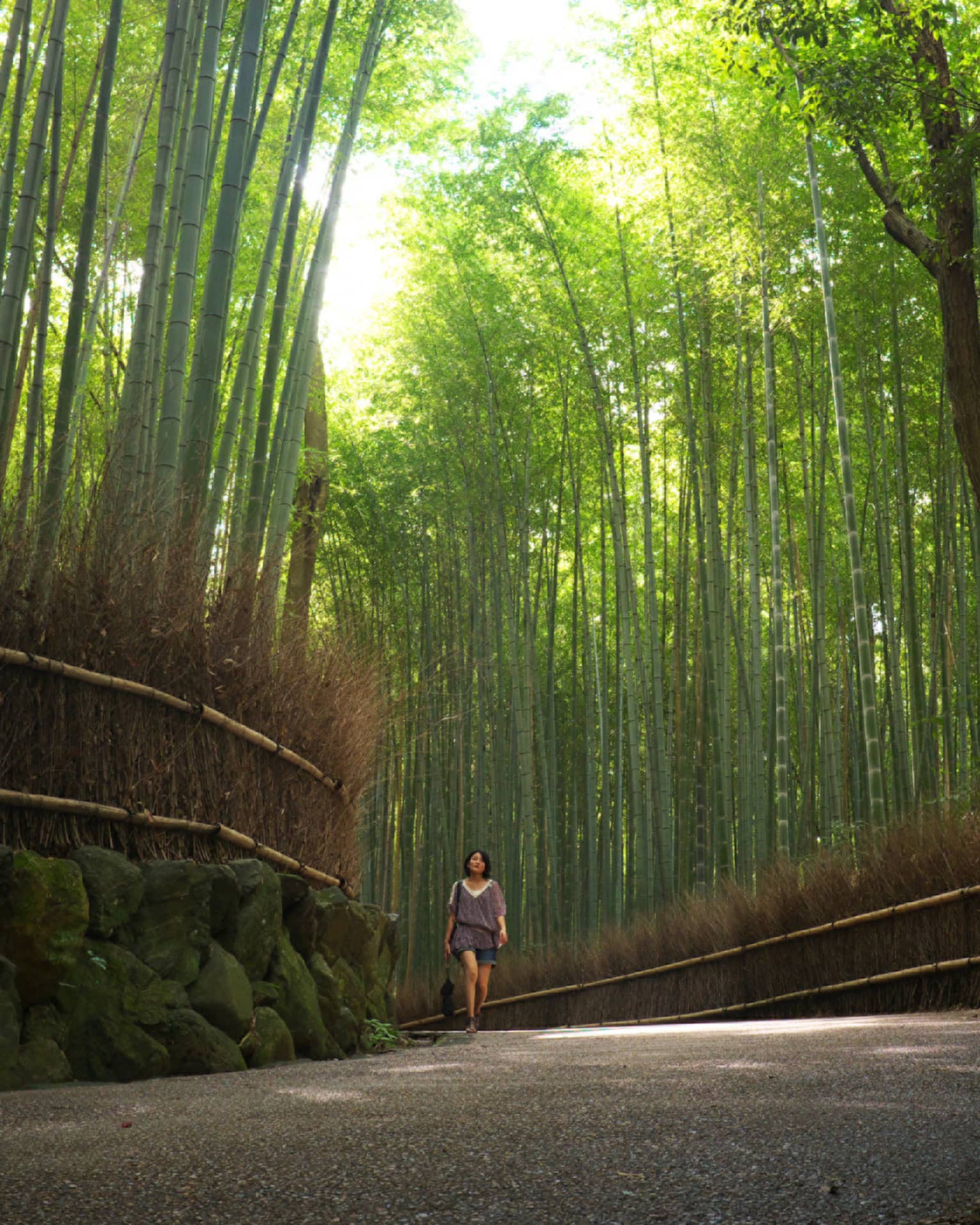 A guest walking along a tranquil, bamboo-lined pathway
