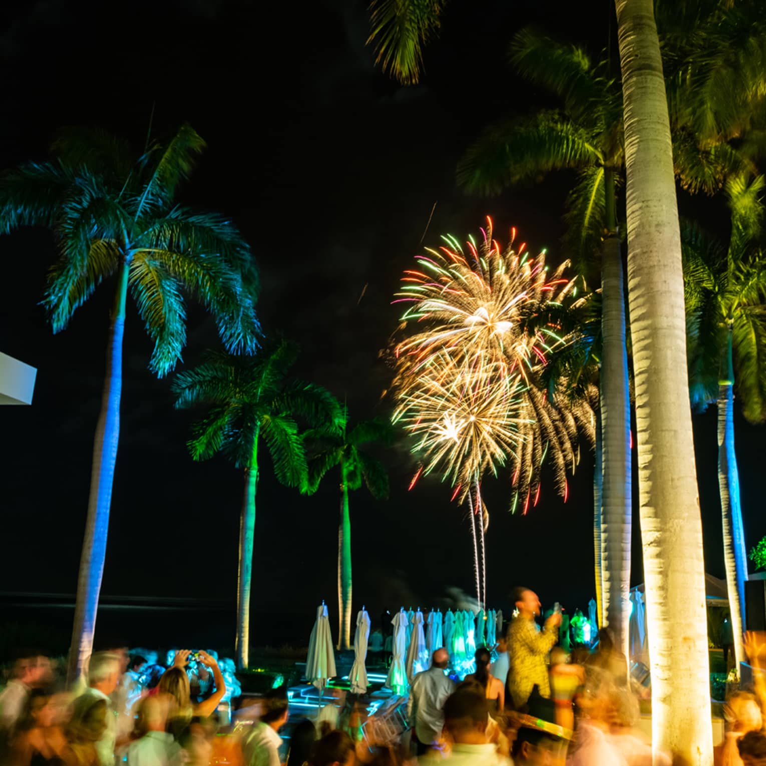 A group of guests watching fireworks in the sky.