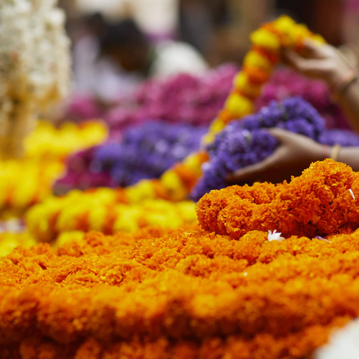 Close-up of vibrant chains of flowers amid a bustling market scene, where people sell and browse colourful floral displays.