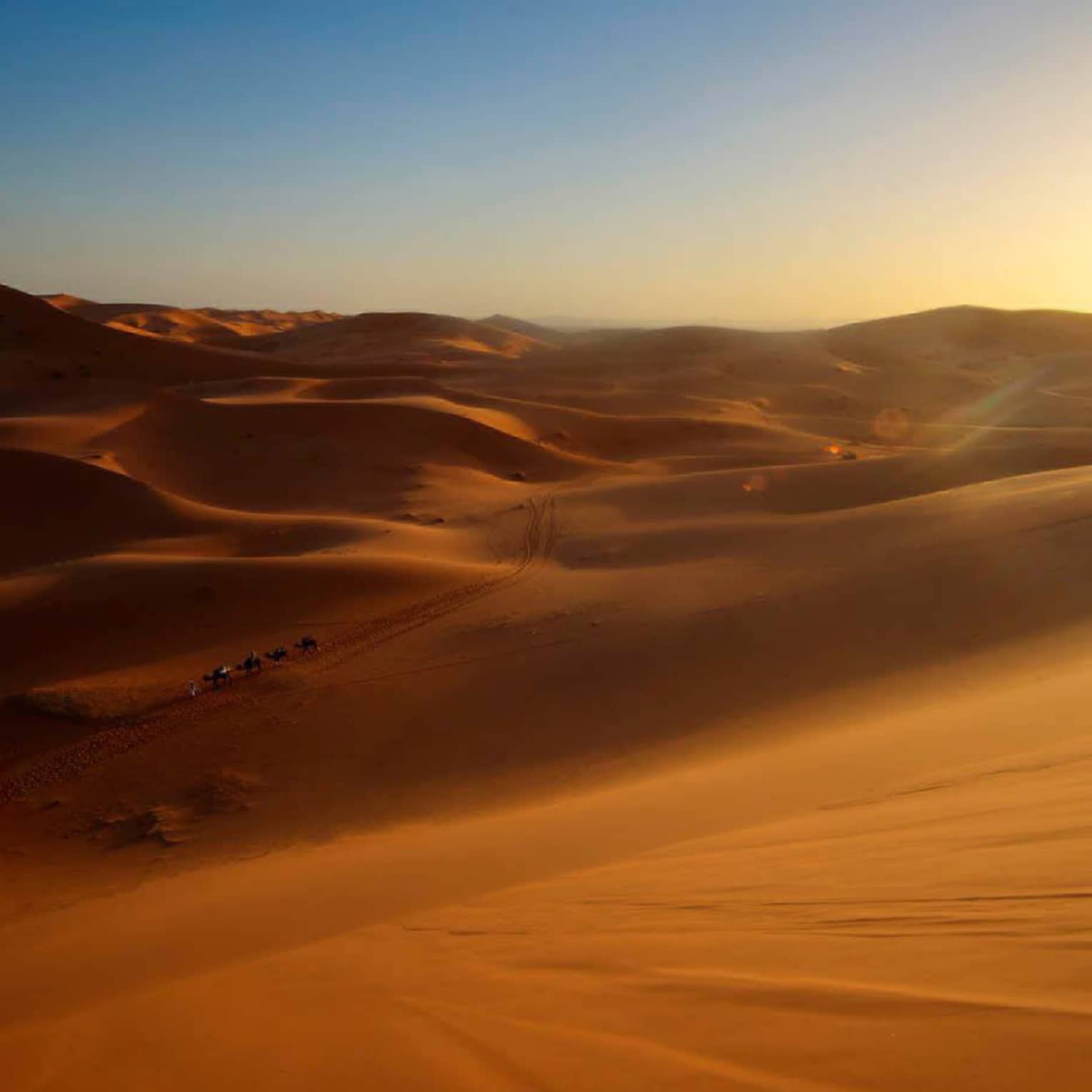 In the far-off distance, a camel caravan crosses a vast expanse of undulating sand dunes under a low-hanging sun. 