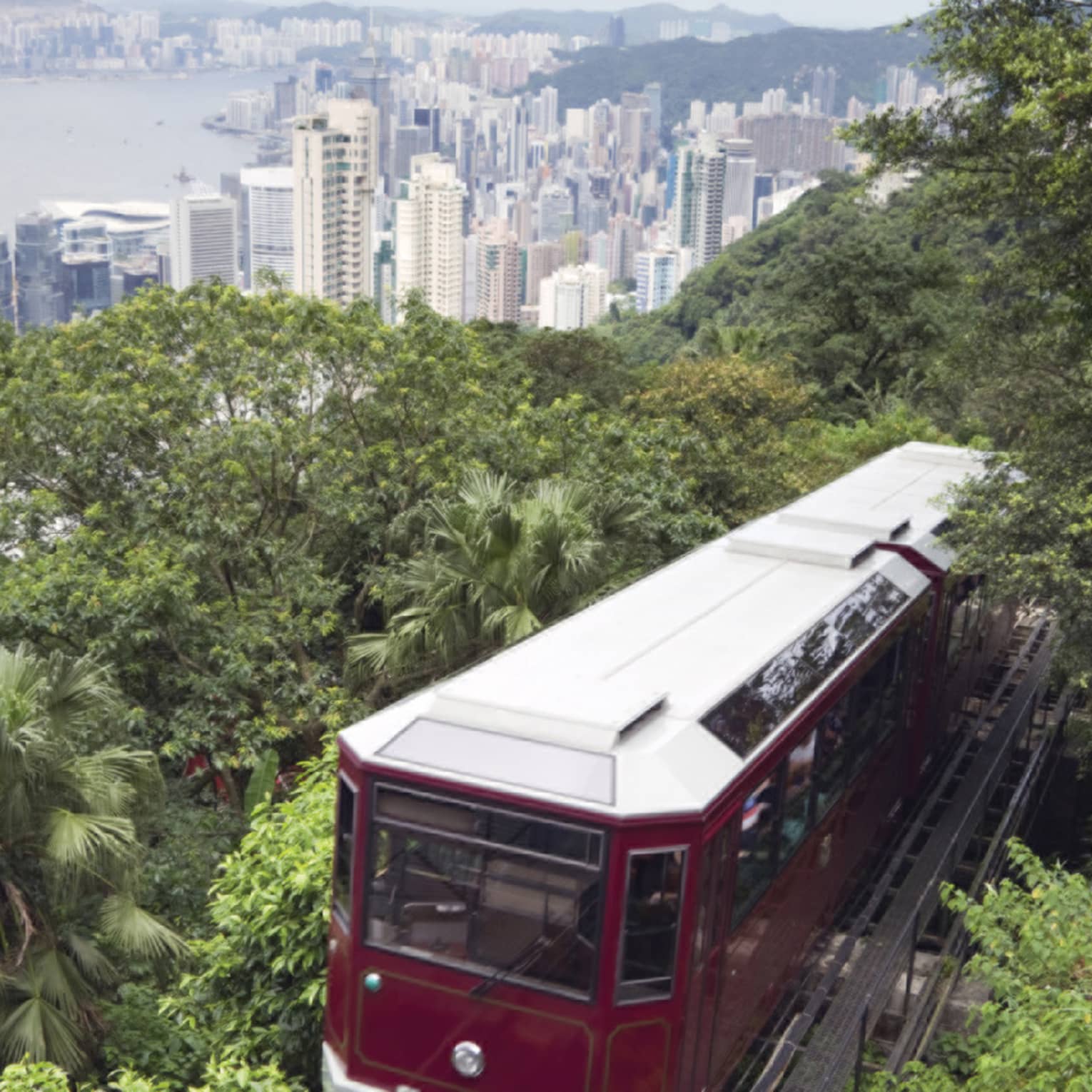 The red Peak Tram ascends a lush, green hillside with a sprawling cityscape in the background. Tall skyscrapers rise into the skyline under a cloudy sky.