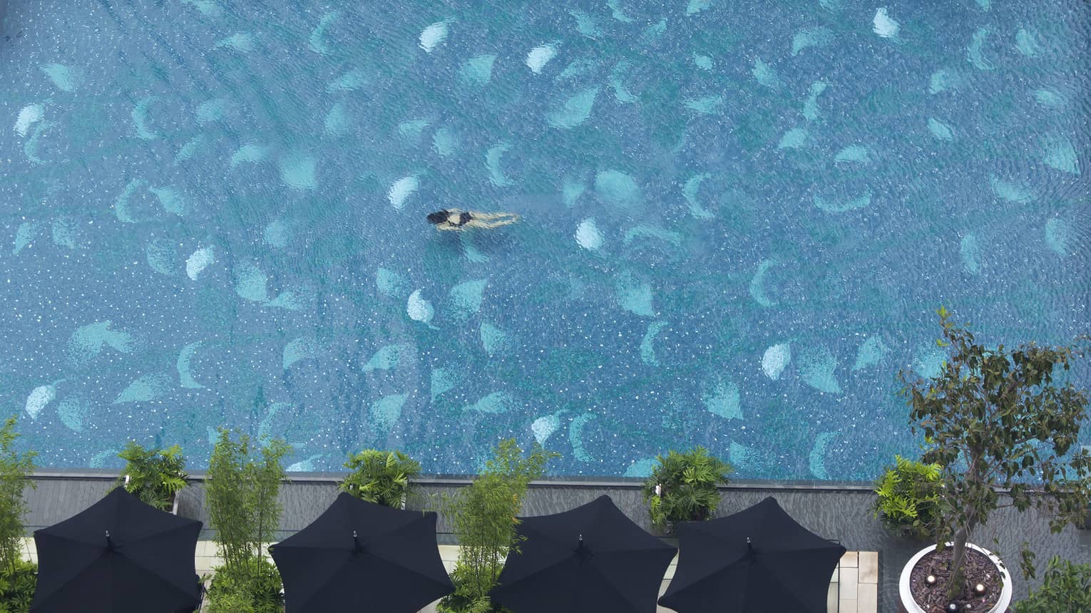 Aerial view of a large swimming pool with a person swimming on their back. The pool area features black umbrellas, lounge chairs and arranged potted plants.