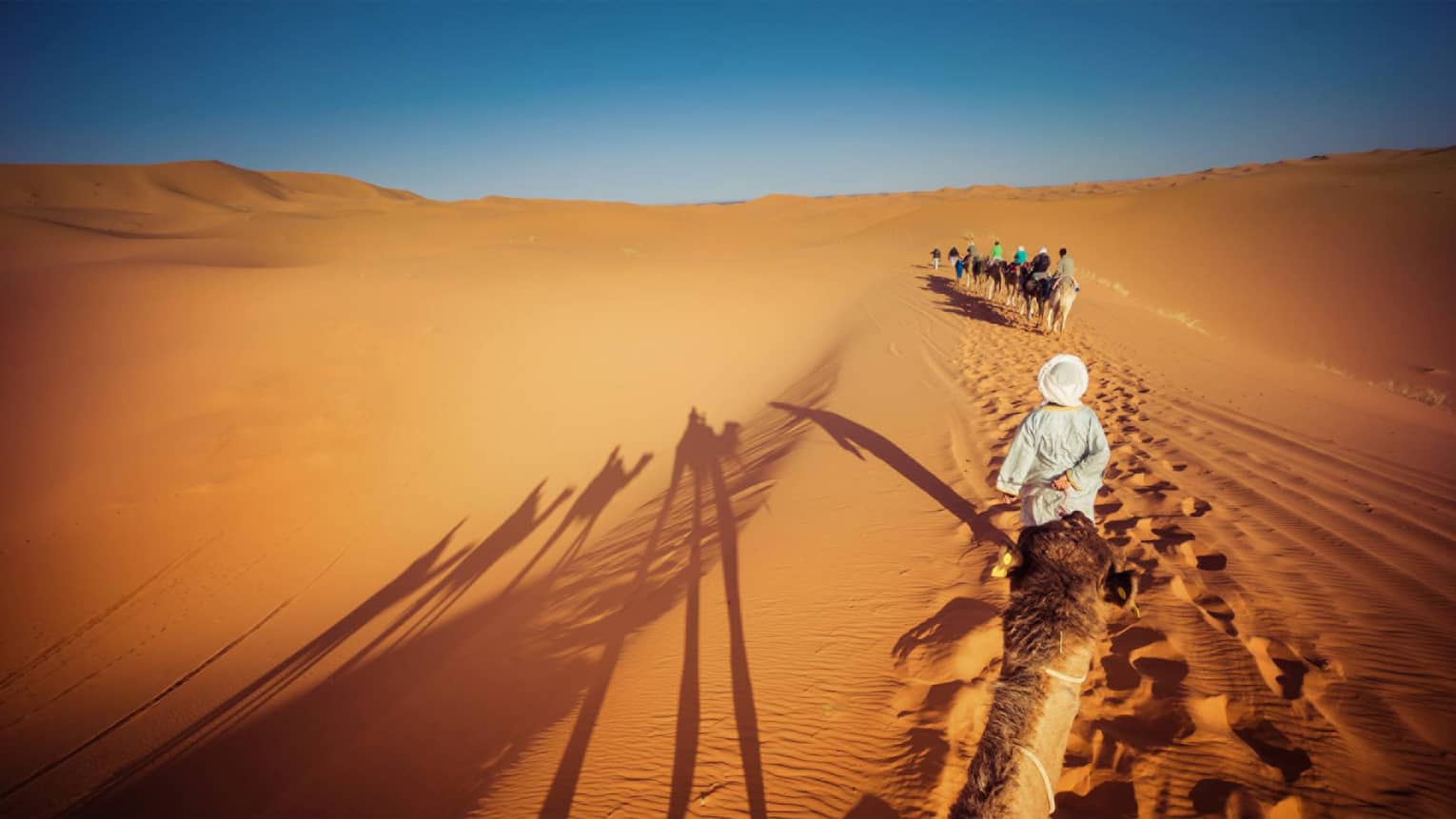 Sand dunes, view from on top of camel with row of camels and riders ahead 