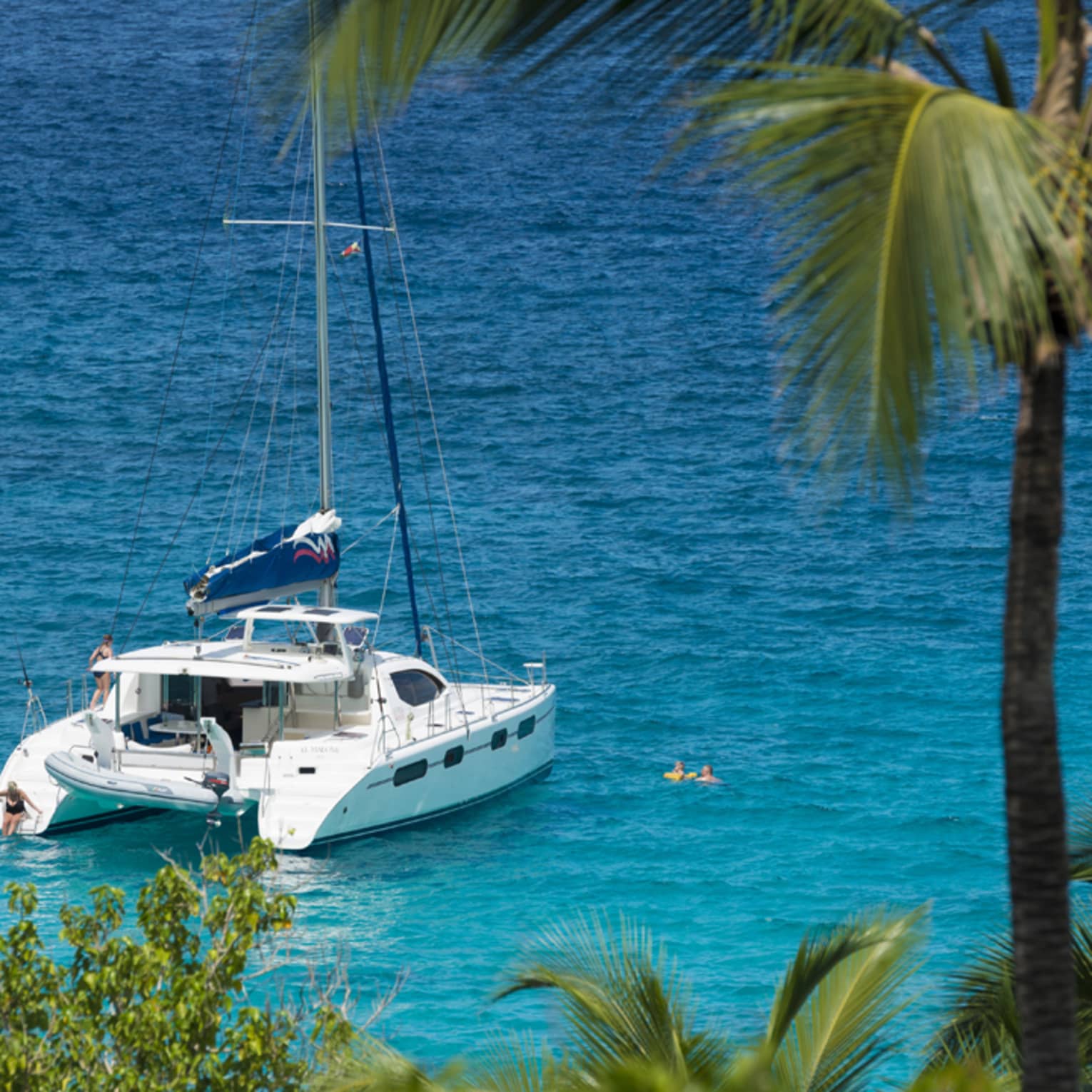 Looking down past tall palm tree at white yacht on blue ocean on sunny day