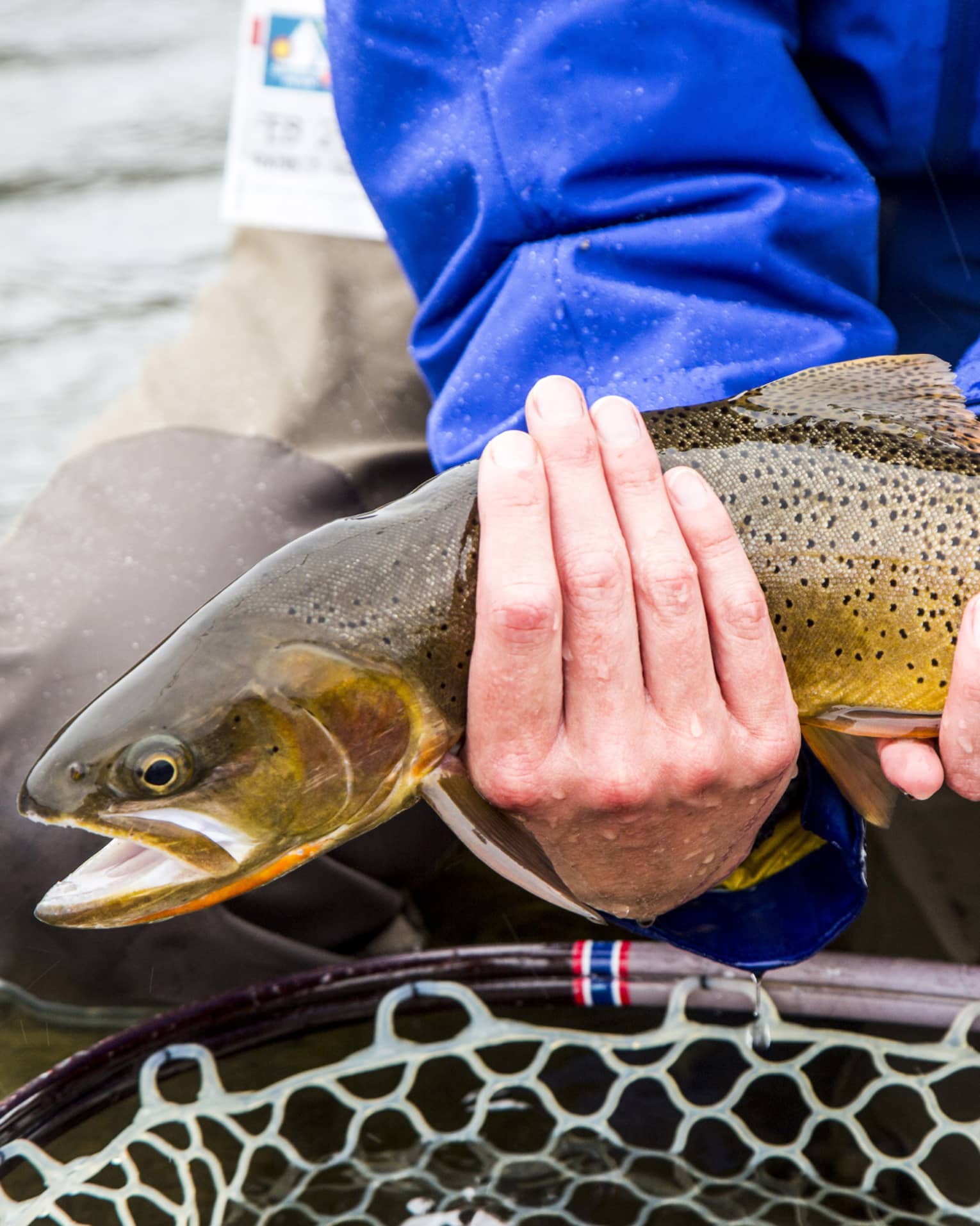 A man in a blue jacket holds a freshly caught fish above a net