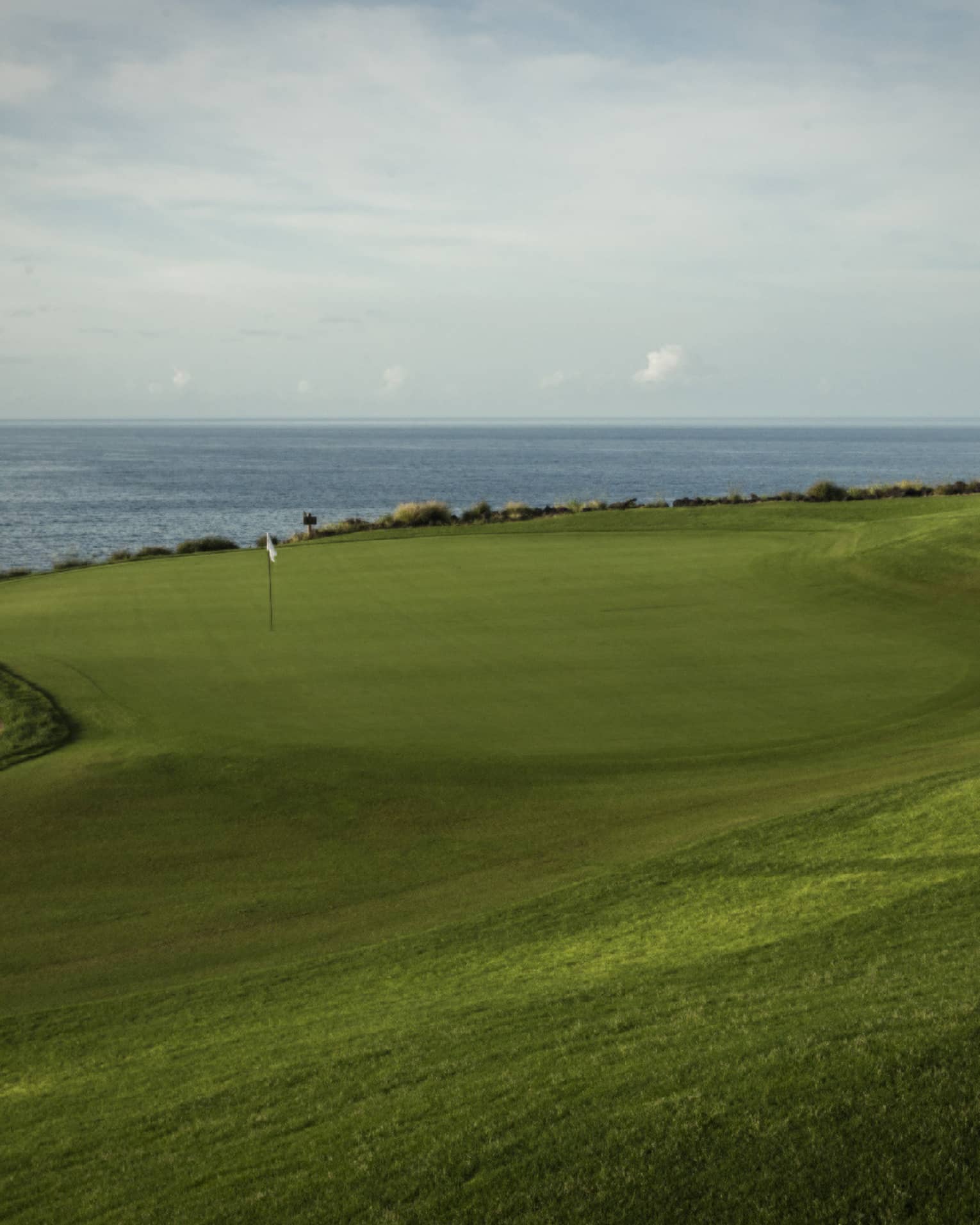 Swirly-shaped golf green with white flag, sandy bunker to the left, lone tree to the right, slate-blue ocean in the distance.