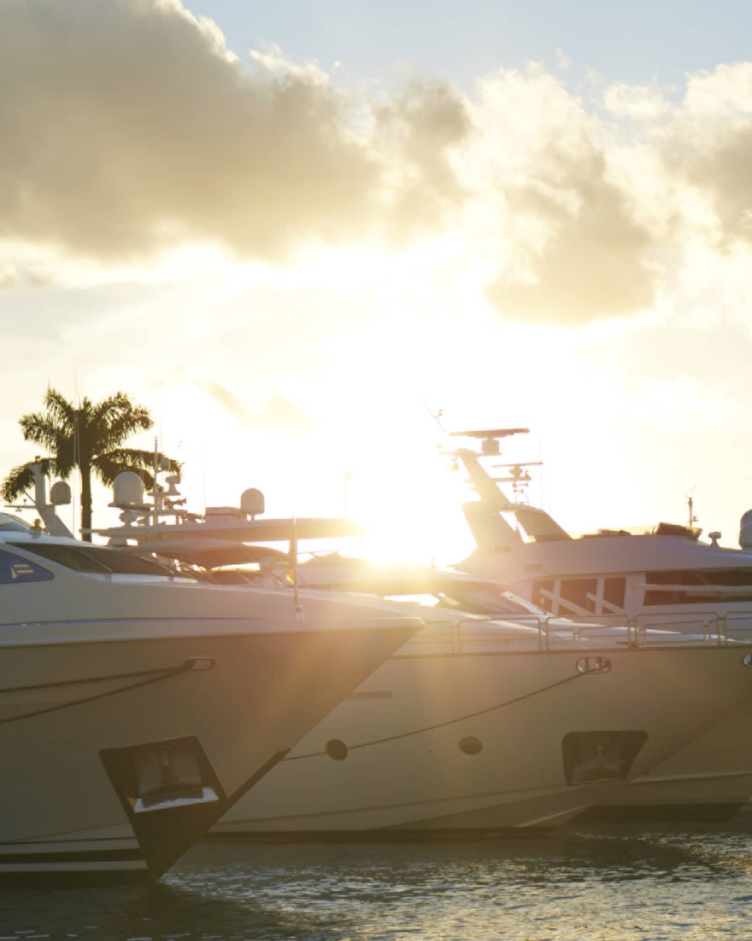 Yachts lined up on water at sunset