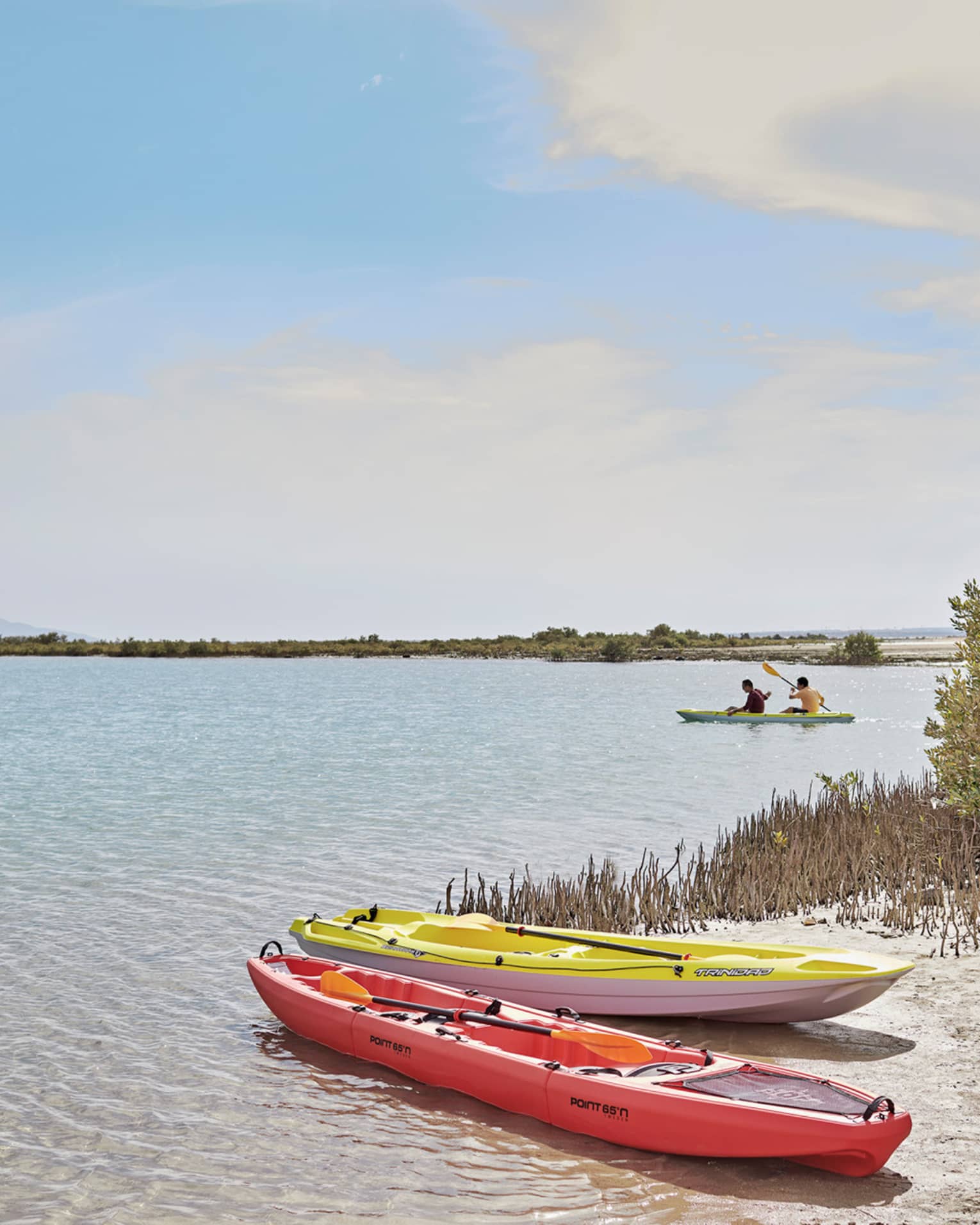 Two beached kayaks – one red, one yellow – amid grass and shrubs; two people paddling in a tandem kayak in the distance.